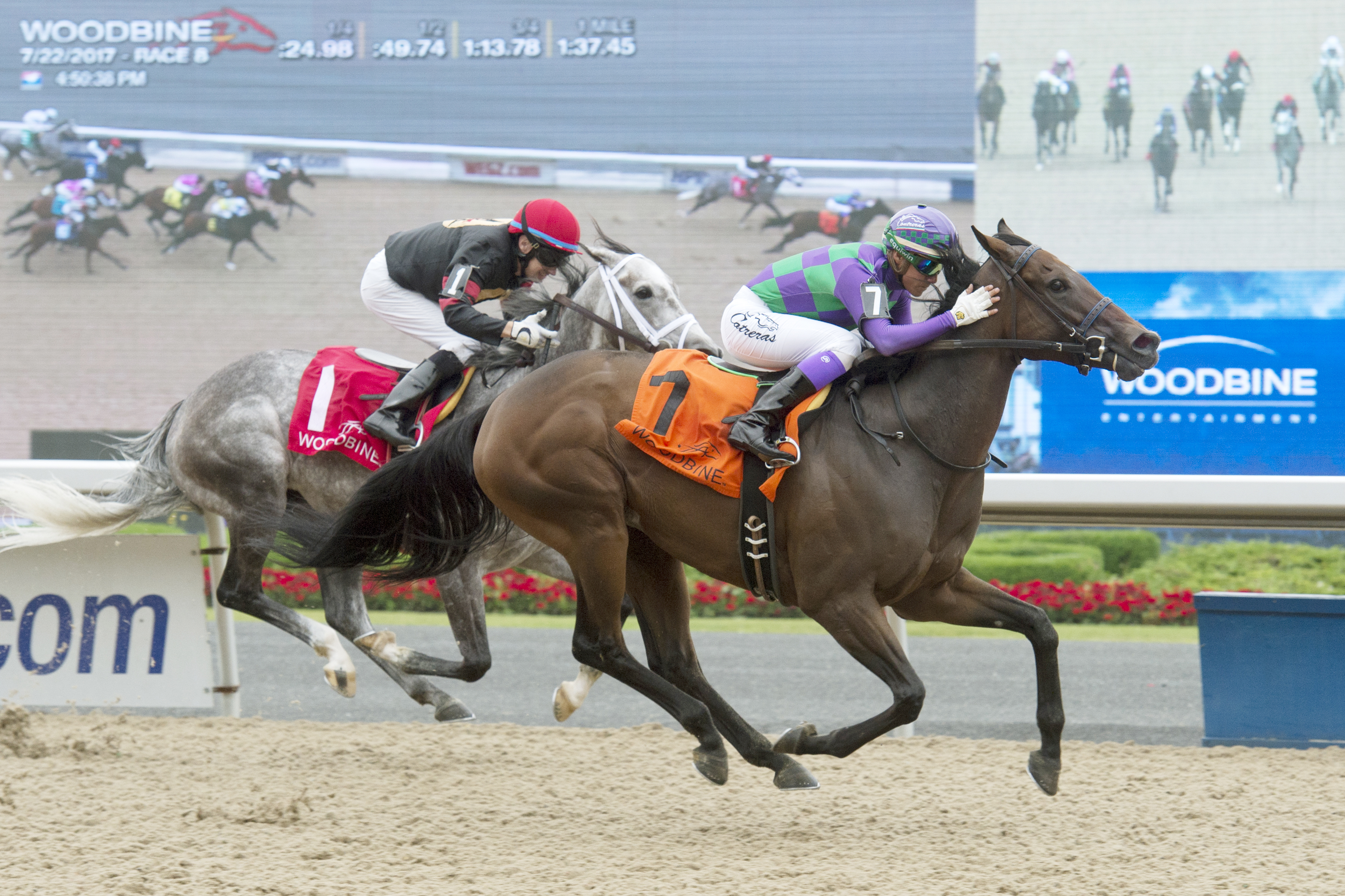 Ami's Mesa wins the 2017 Ontario Matron