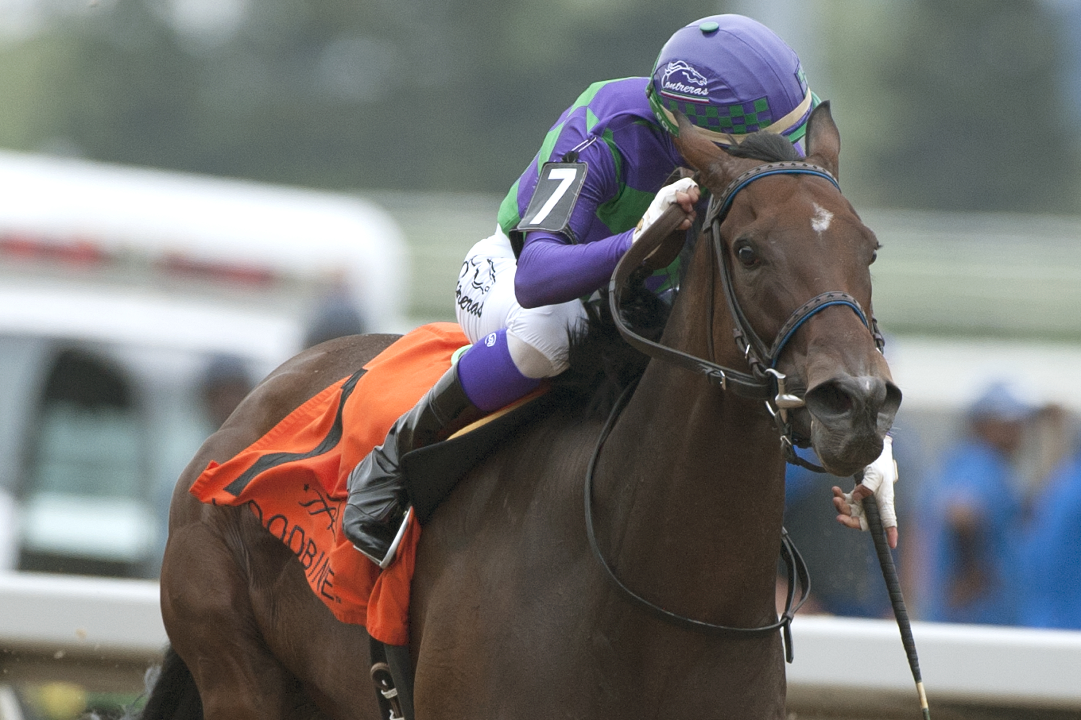 Ami's Mesa wins the Ontario Matron Stakes at Woodbine 7.22.17
