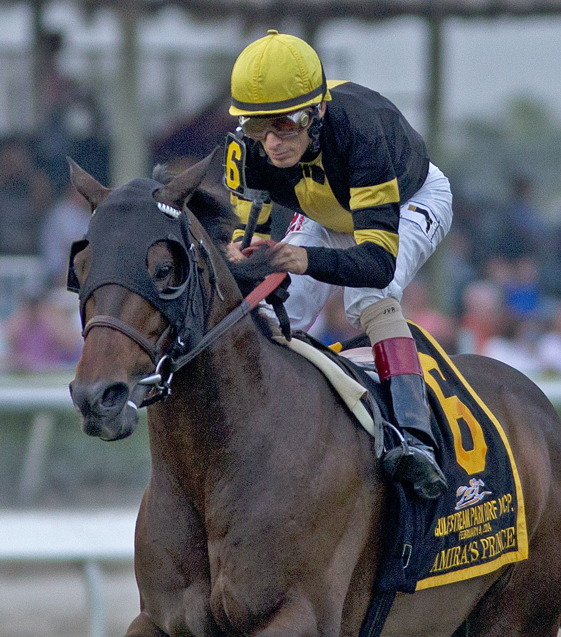 Amira's Prince finishes third in the Gulfstream Park Turf Handicap