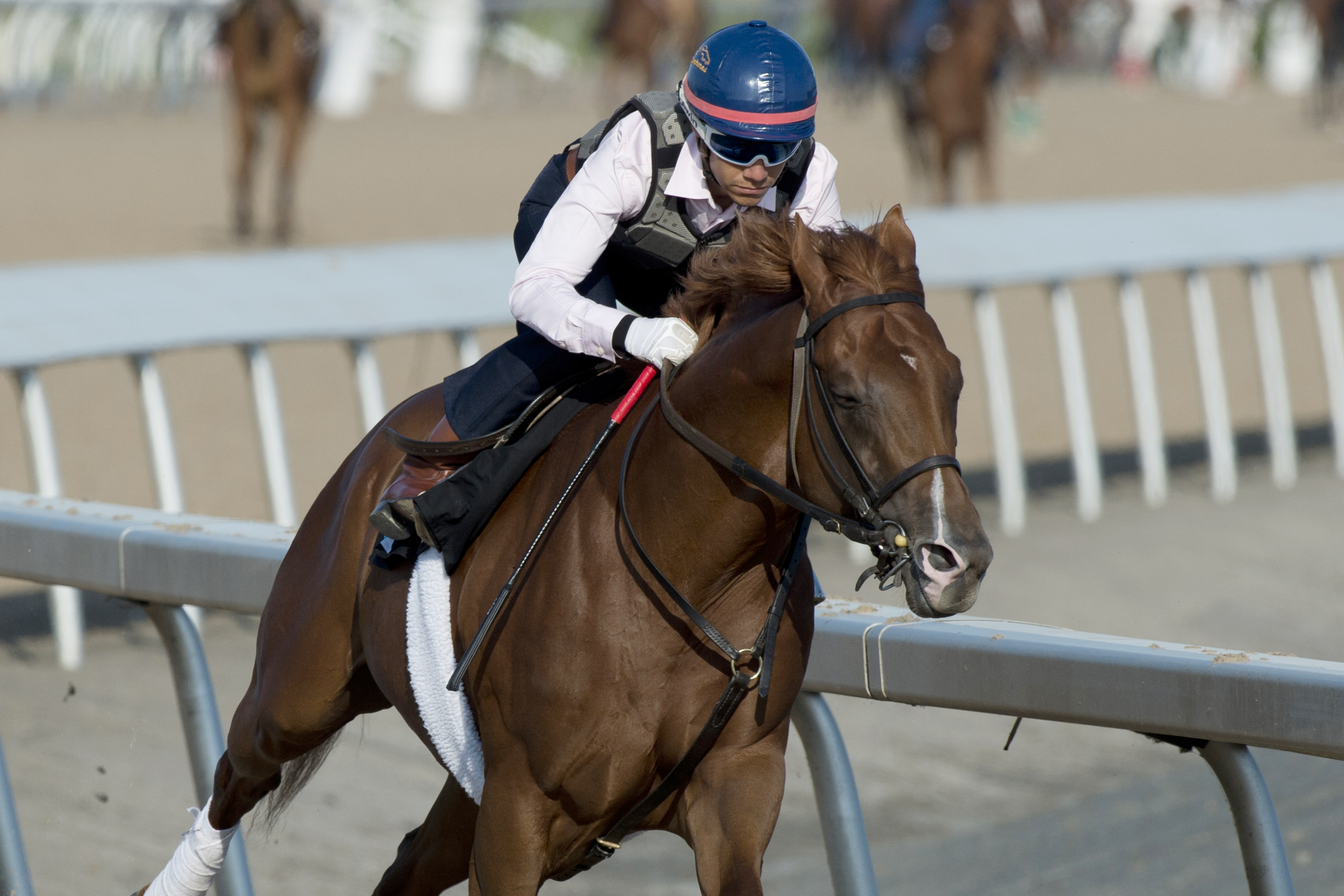 Amis Gizmo trains at Woodbine on June 29