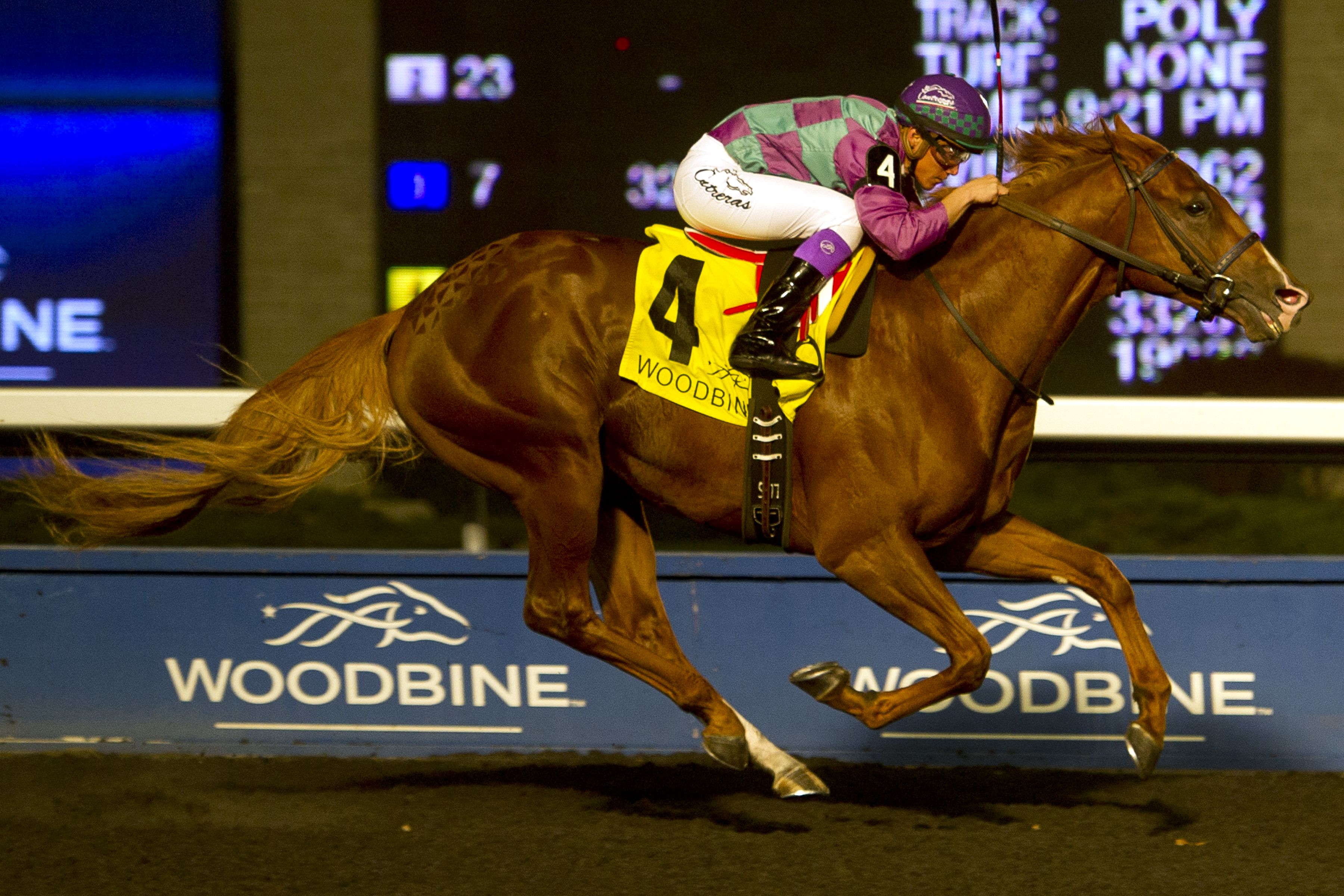 Amis Gizmo wins the Frost King Stakes on Nov. 4 at Woodbine.