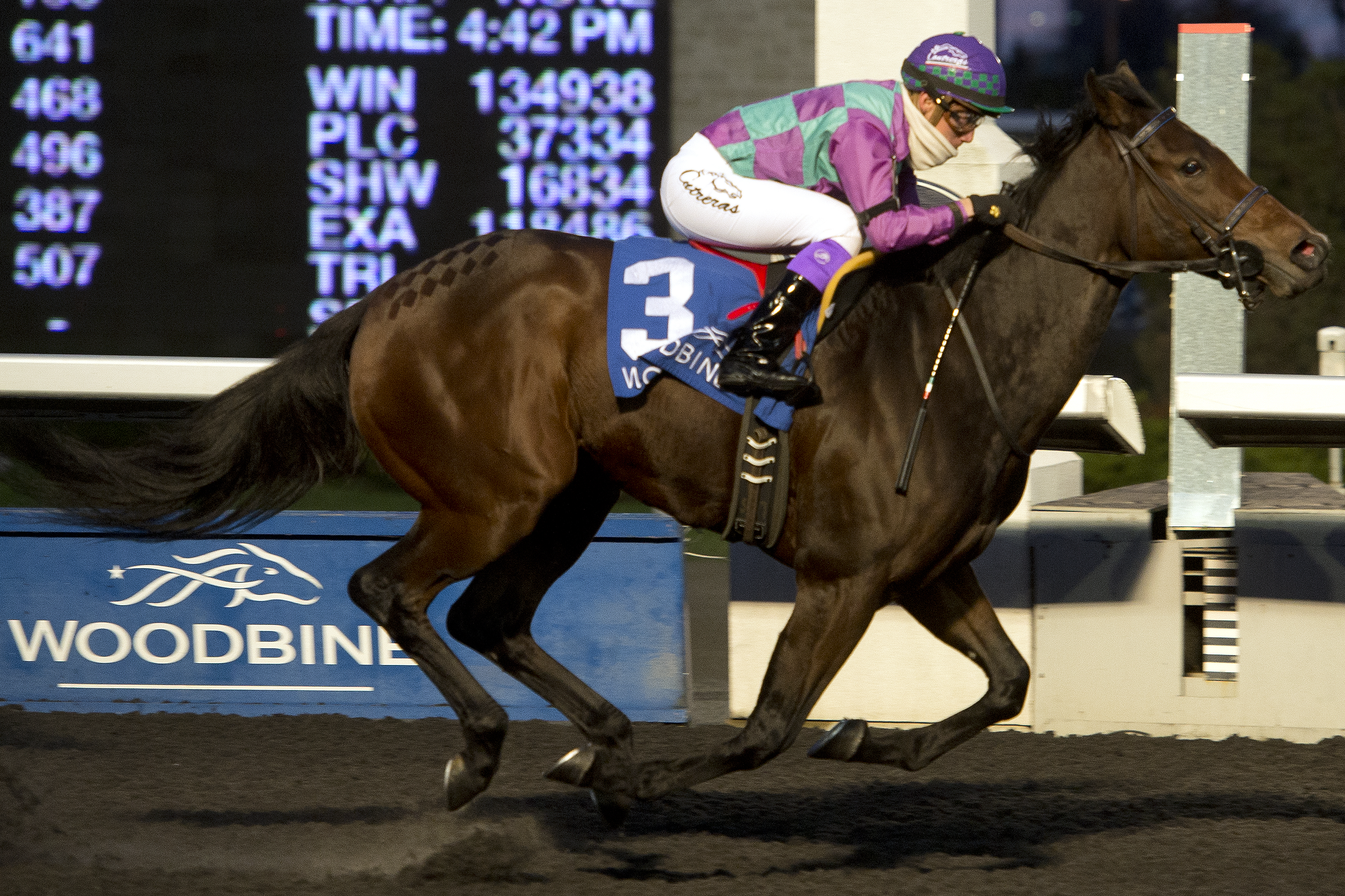 Ami's Mesa wins 2015 Glorious Song