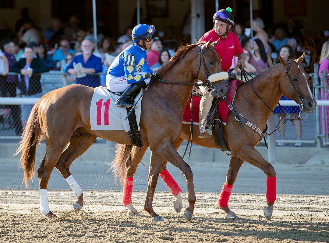 Ampersand at a Sept. 4 allowance race at Saratoga Race Course