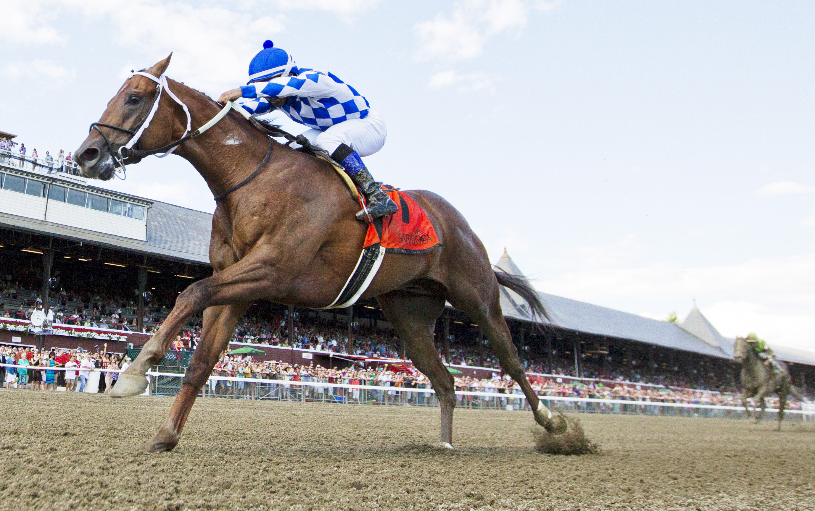 Holy Boss wins 2015 Amsterdam