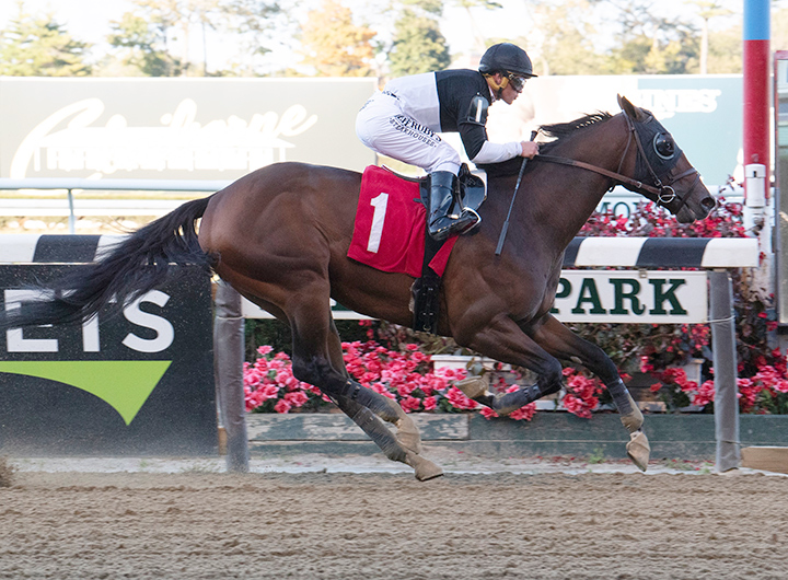 Amundson wins an Oct. 18 allowance at Belmont Park