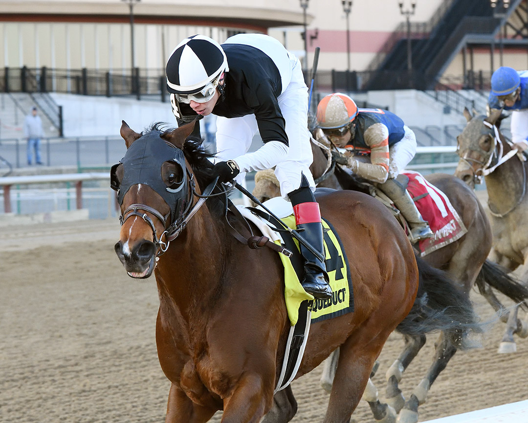 Amundson wins the 2020 Hollie Hughes Stakes at Aqueduct Racetrack