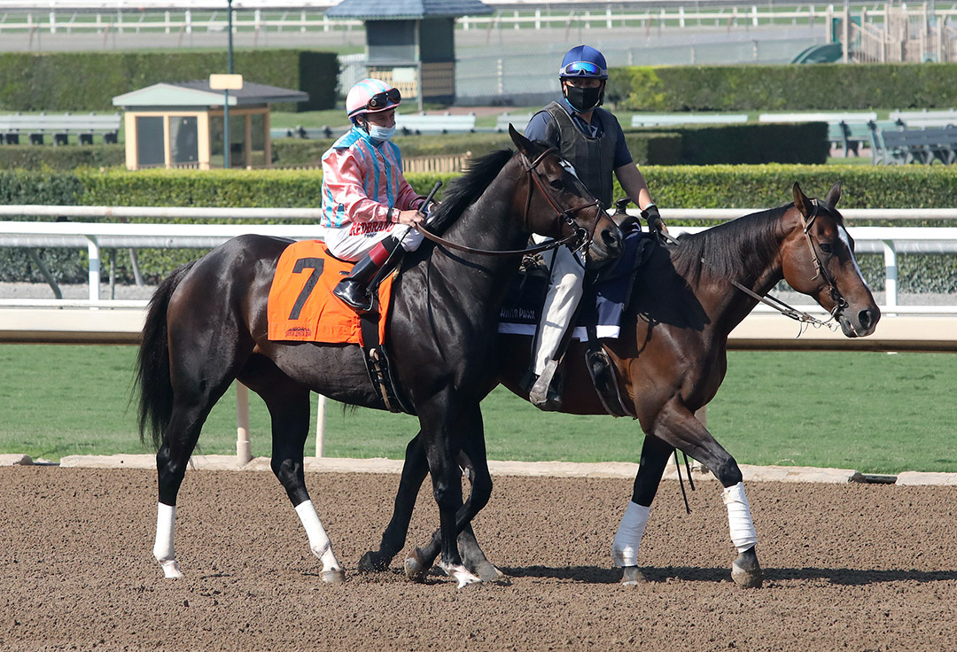 Amuse at Santa Anita Park on Sept. 25
