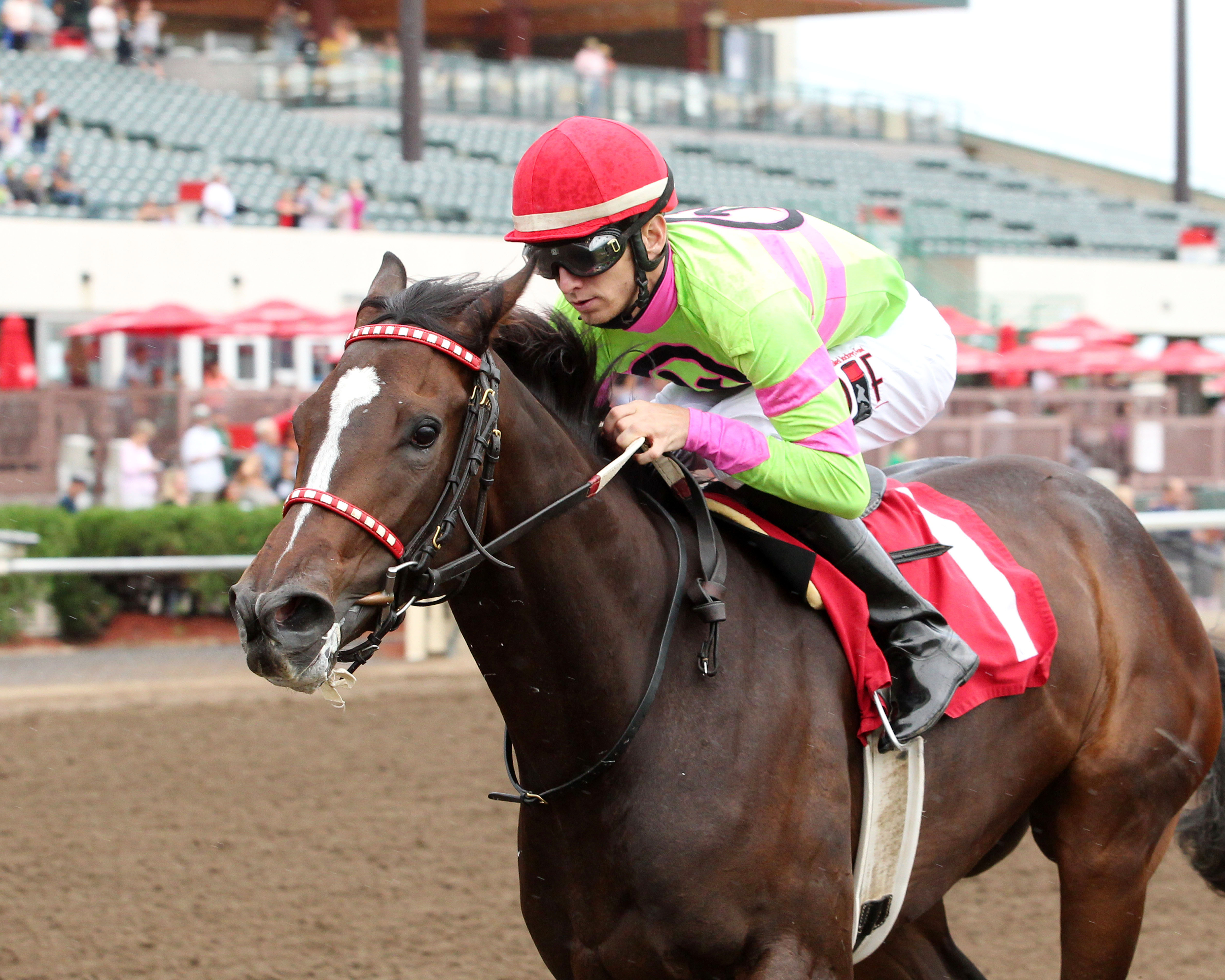 Amy's Challenge wins an Aug. 6, 2017 maiden race