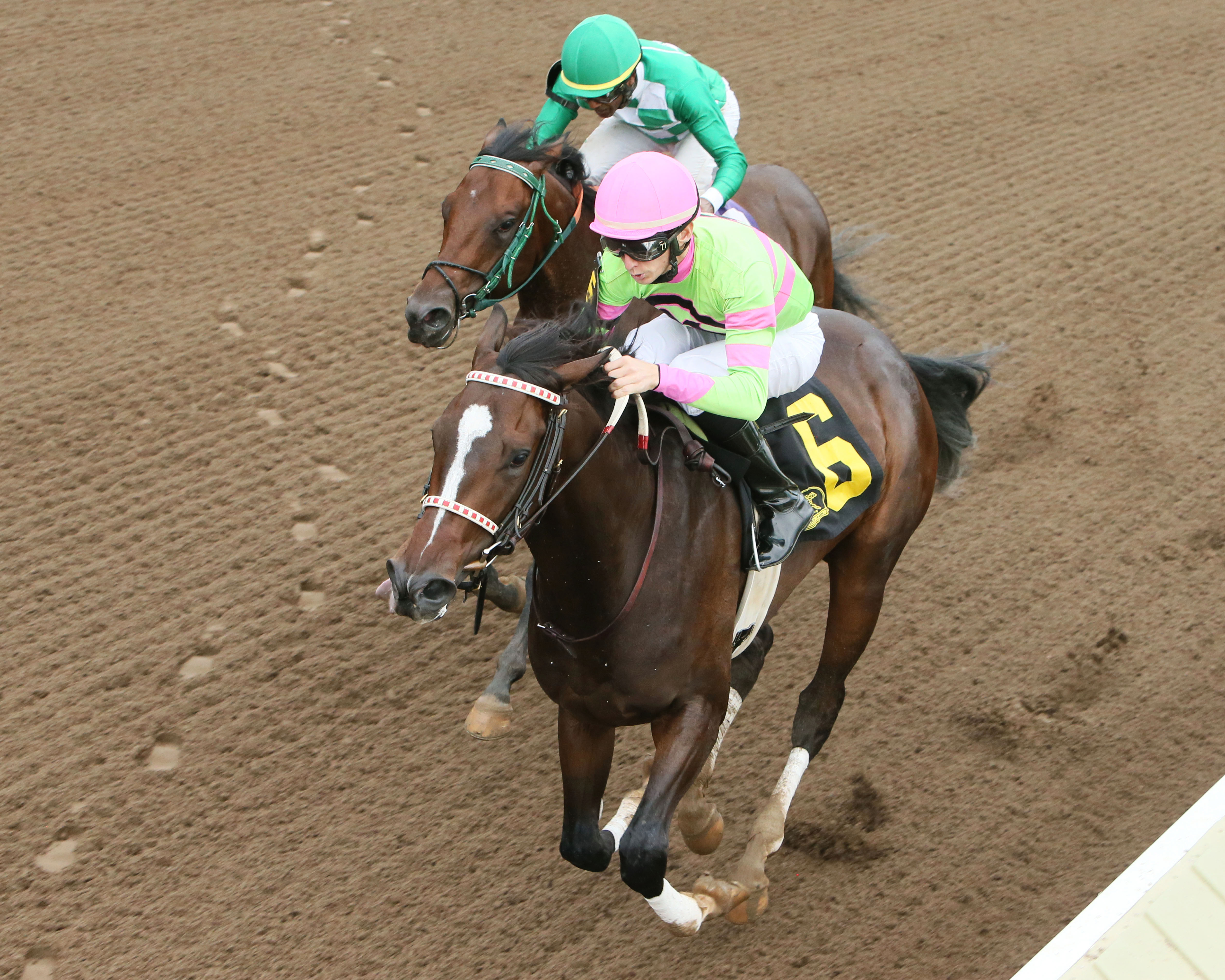 Amys Challenge wins the 2017 Shakopee Juvenile Stakes