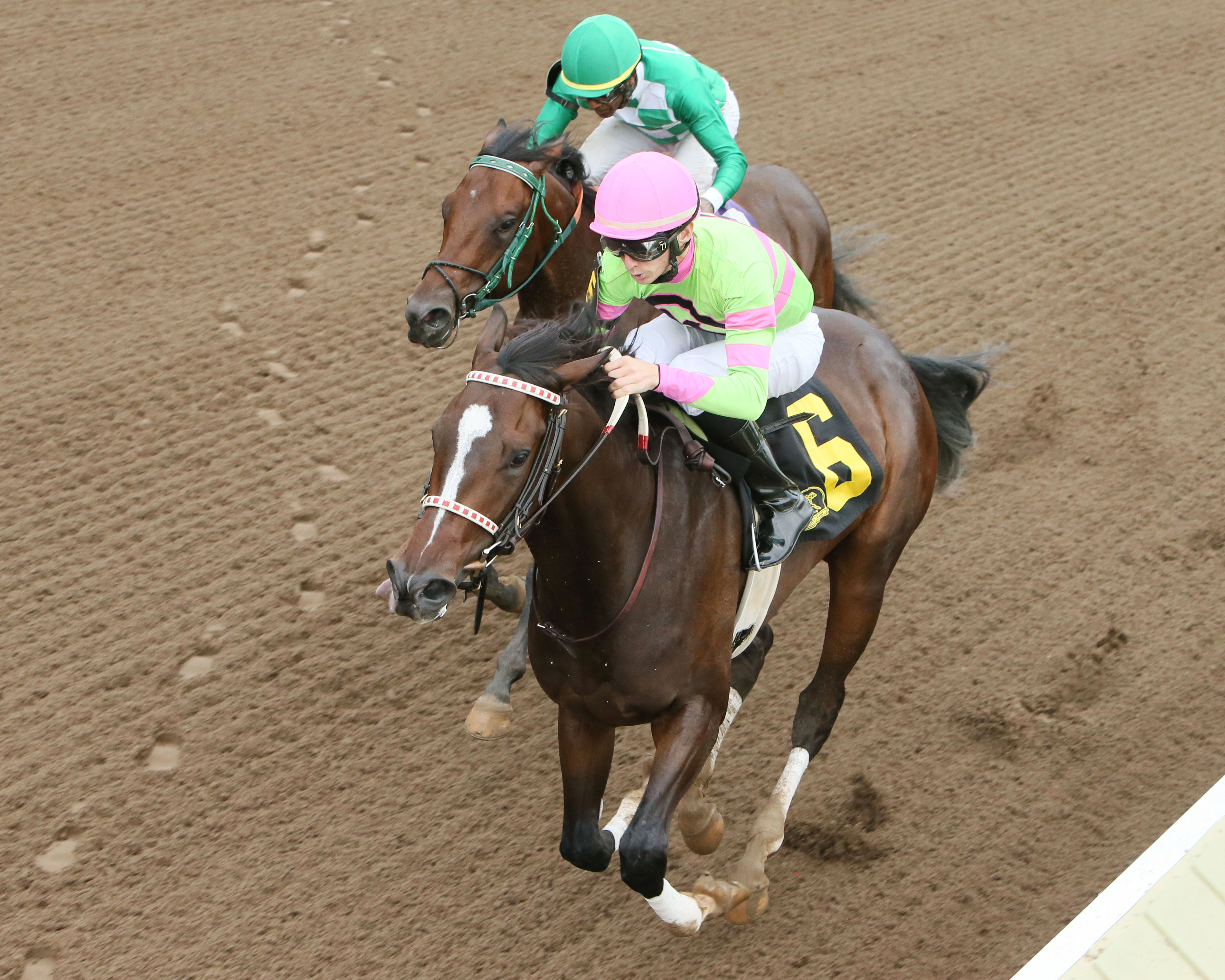 Amy's Challenge wins the 2017 Shakopee Juvenile Stakes