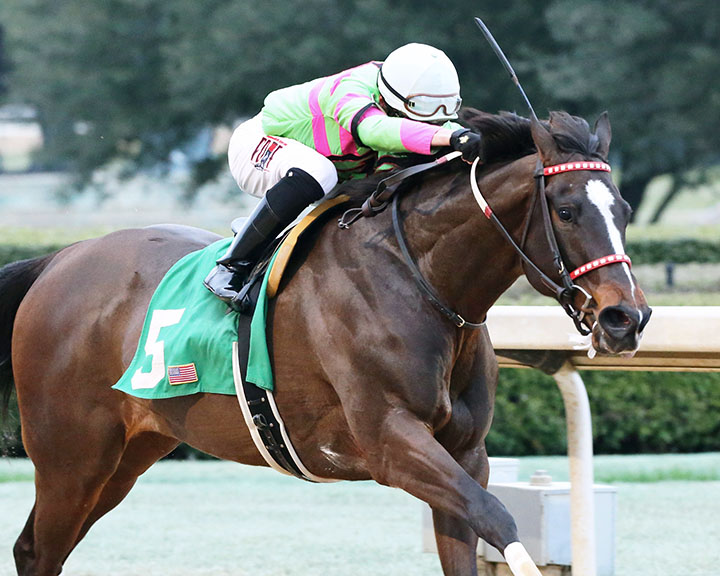 Amy-s Challenge wins the 2019 Spring Fever Stakes