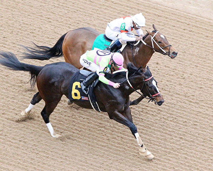 Amy-s Challenge wins the 2018 Dixie Belle
