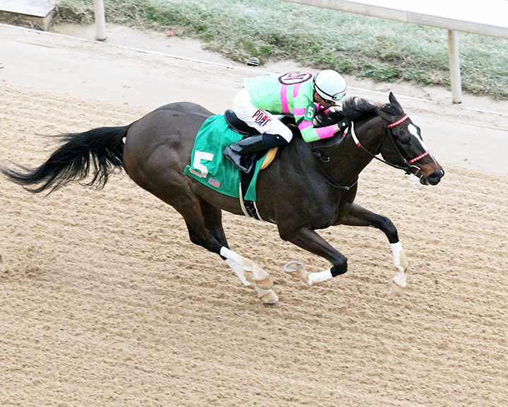 Amy's Challenge wins the 2019 Spring Fever Stakes at Oaklawn Park