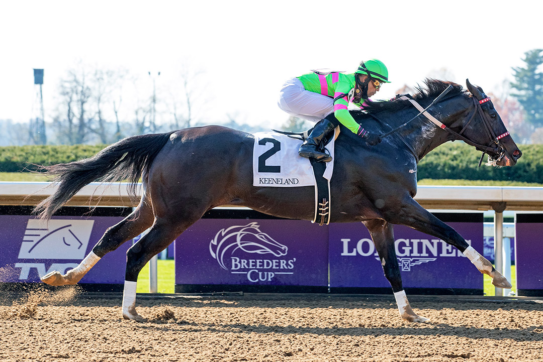 Amy's Challenge wins the 2020 McConnell Springs Stakes at Keeneland
