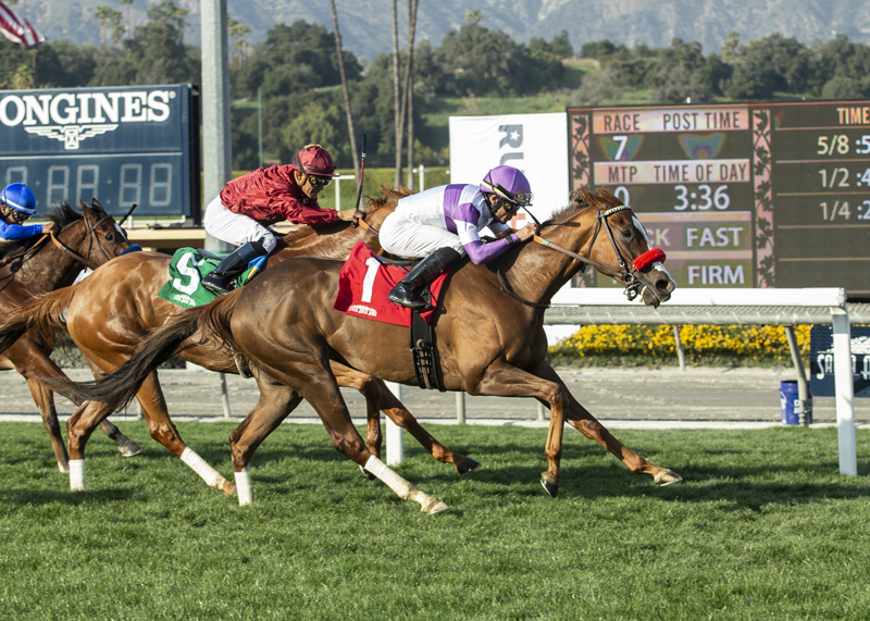 An Eddie Surprise wins the 2020 Wishing Well Stakes