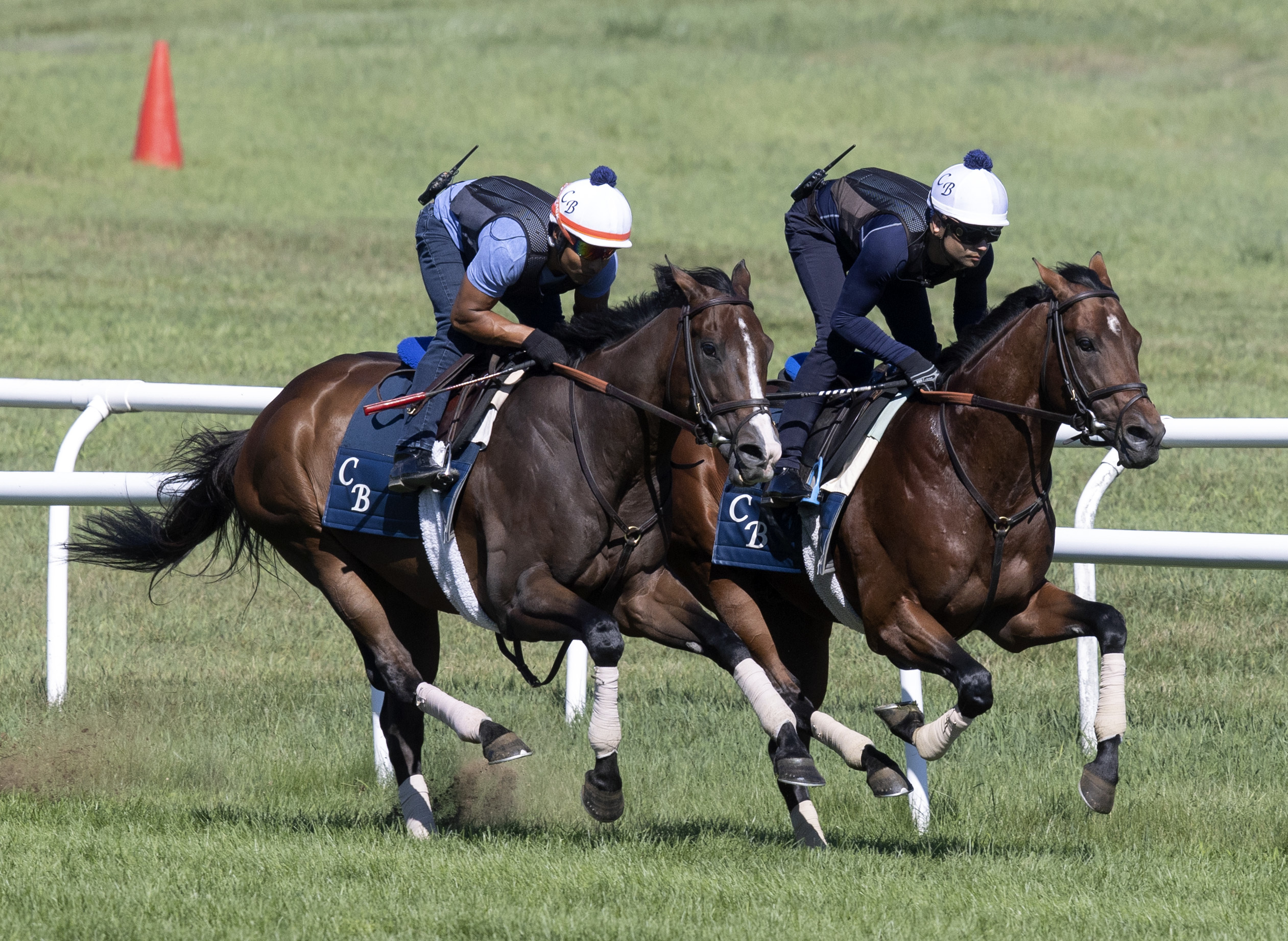Analyze It (left) and Mouillage breeze at saratoga Aug 12 2022