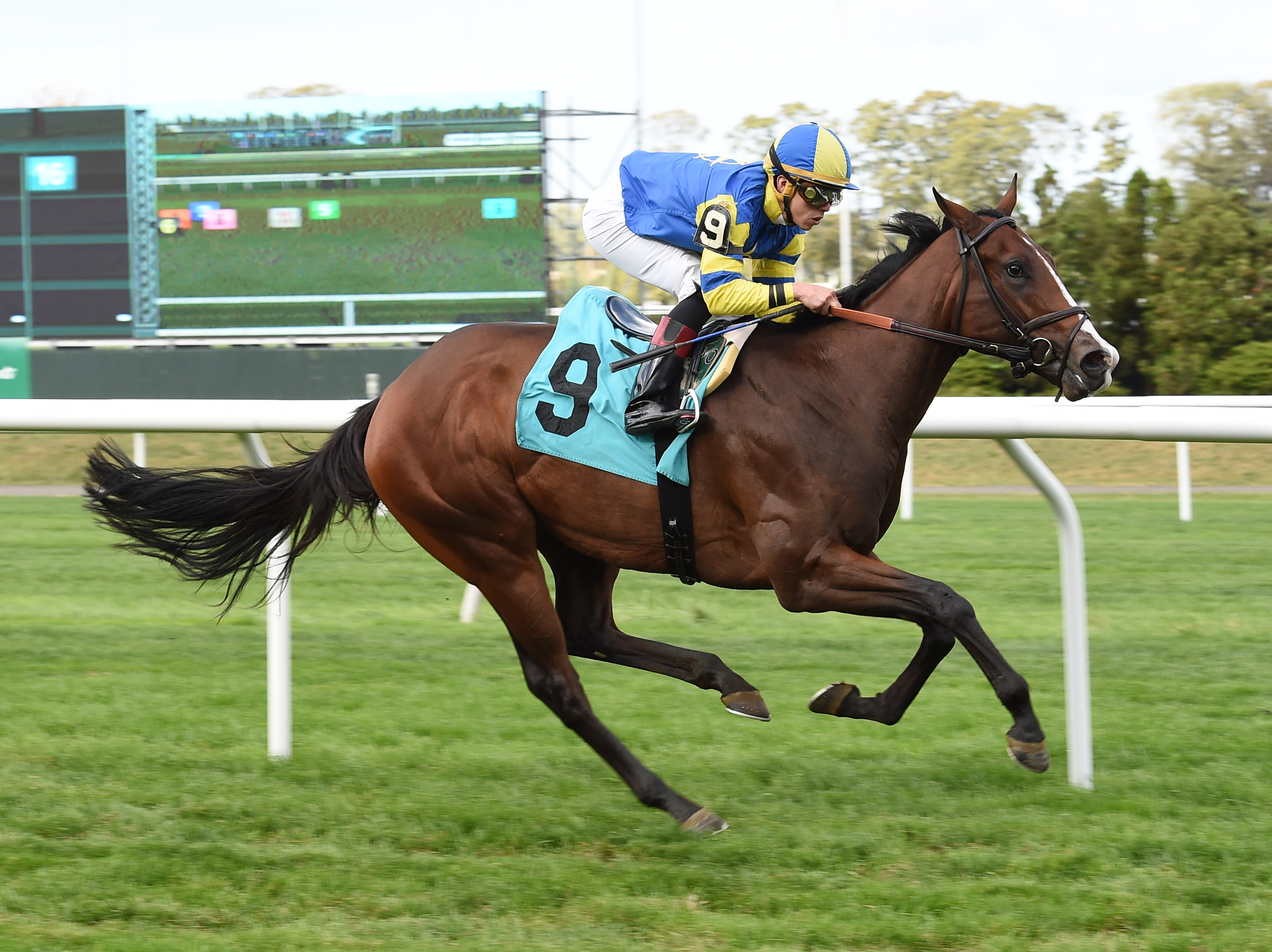 Analyze It wins an Oct. 28 maiden race