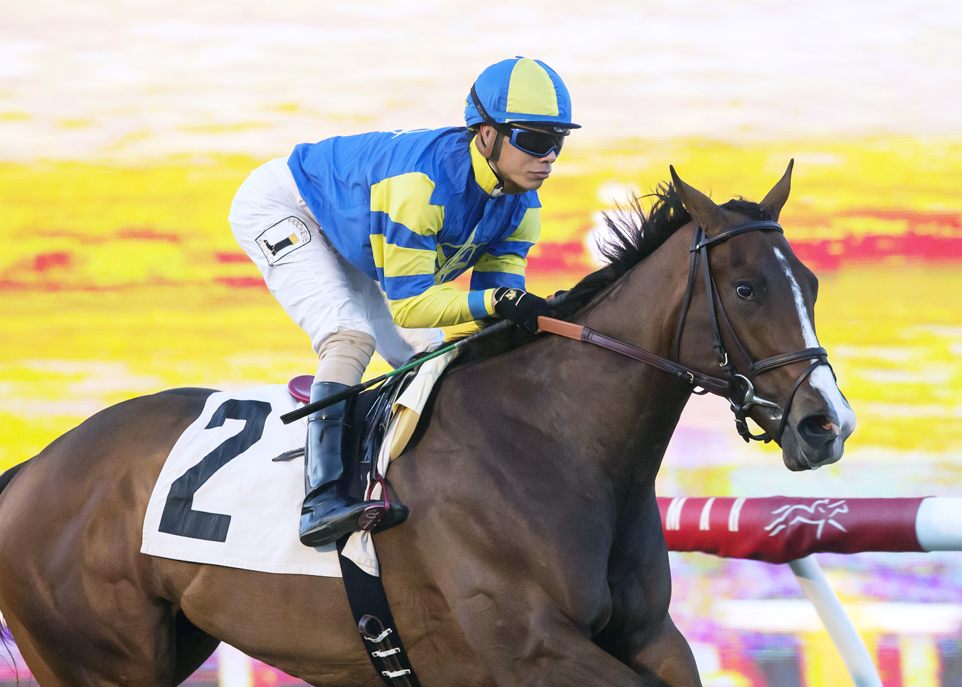 Analyze It wins the 2017 Cecil B. DeMille Stakes