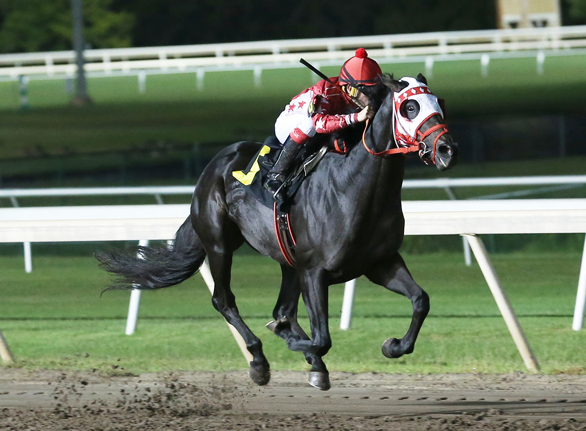 Analyze This Jet wins an Oct. 4 maiden race at Remington