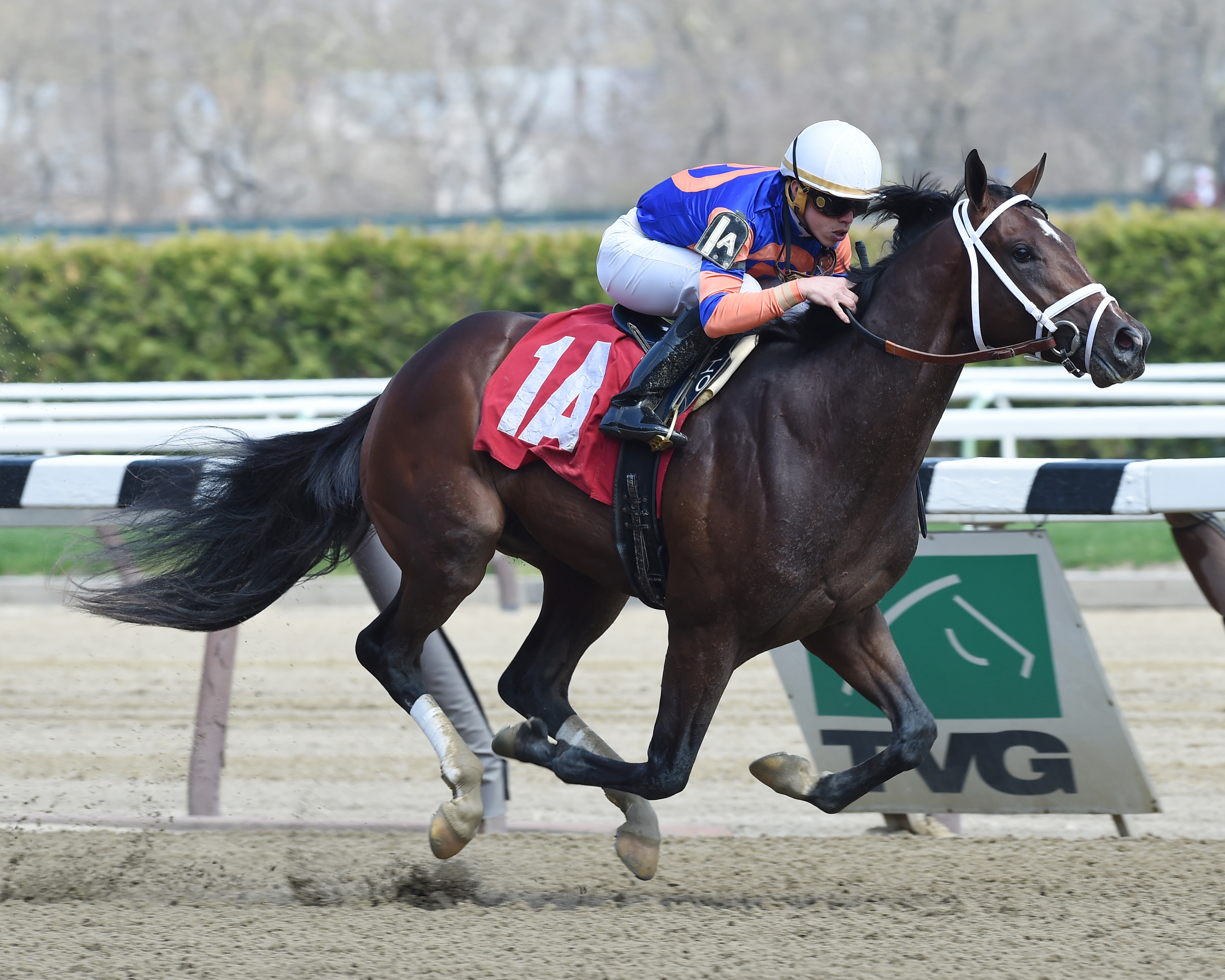 Analyze the Odds wins a maiden race