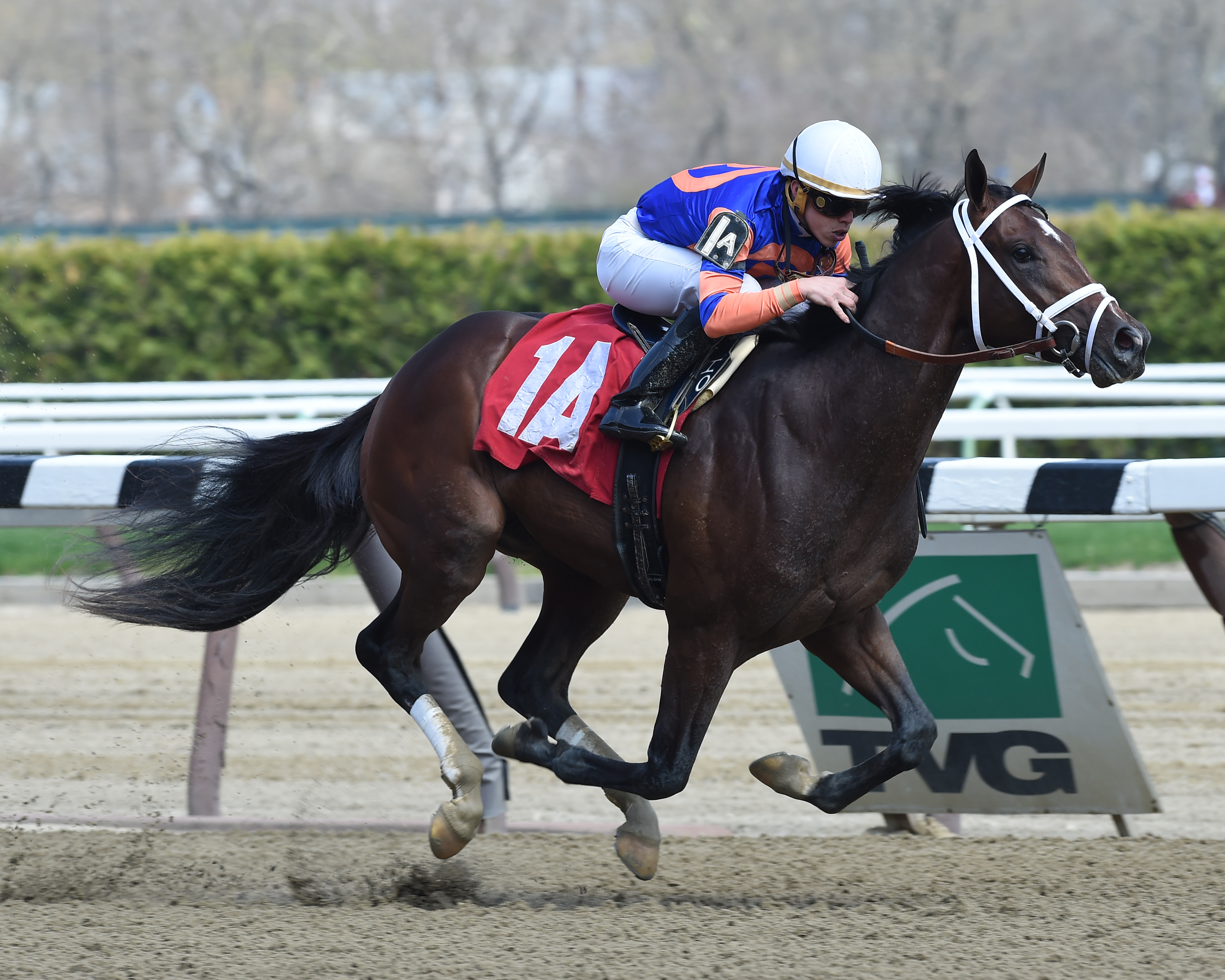 Analyze the Odds wins a maiden race