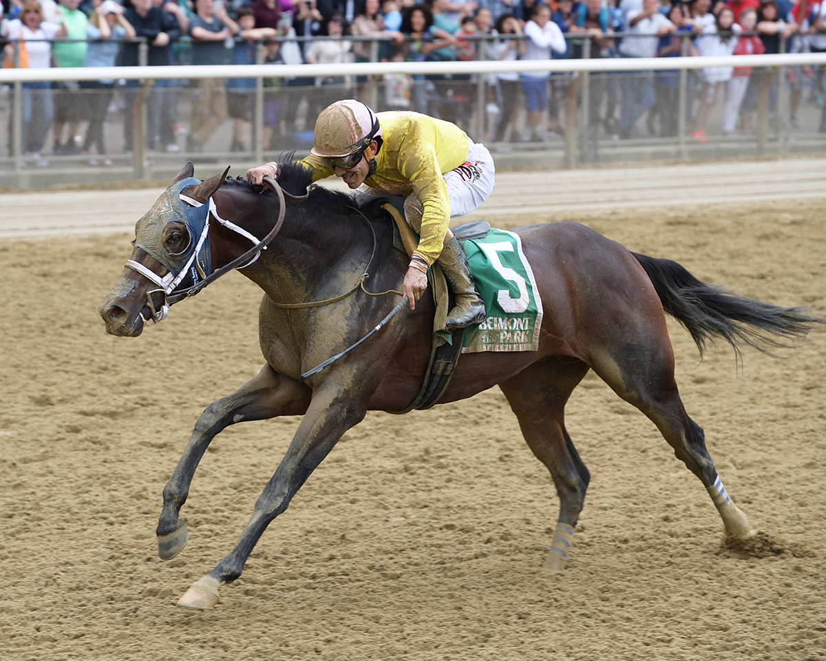 Analyze the Odds wins the 2018 Mike Lee Stakes