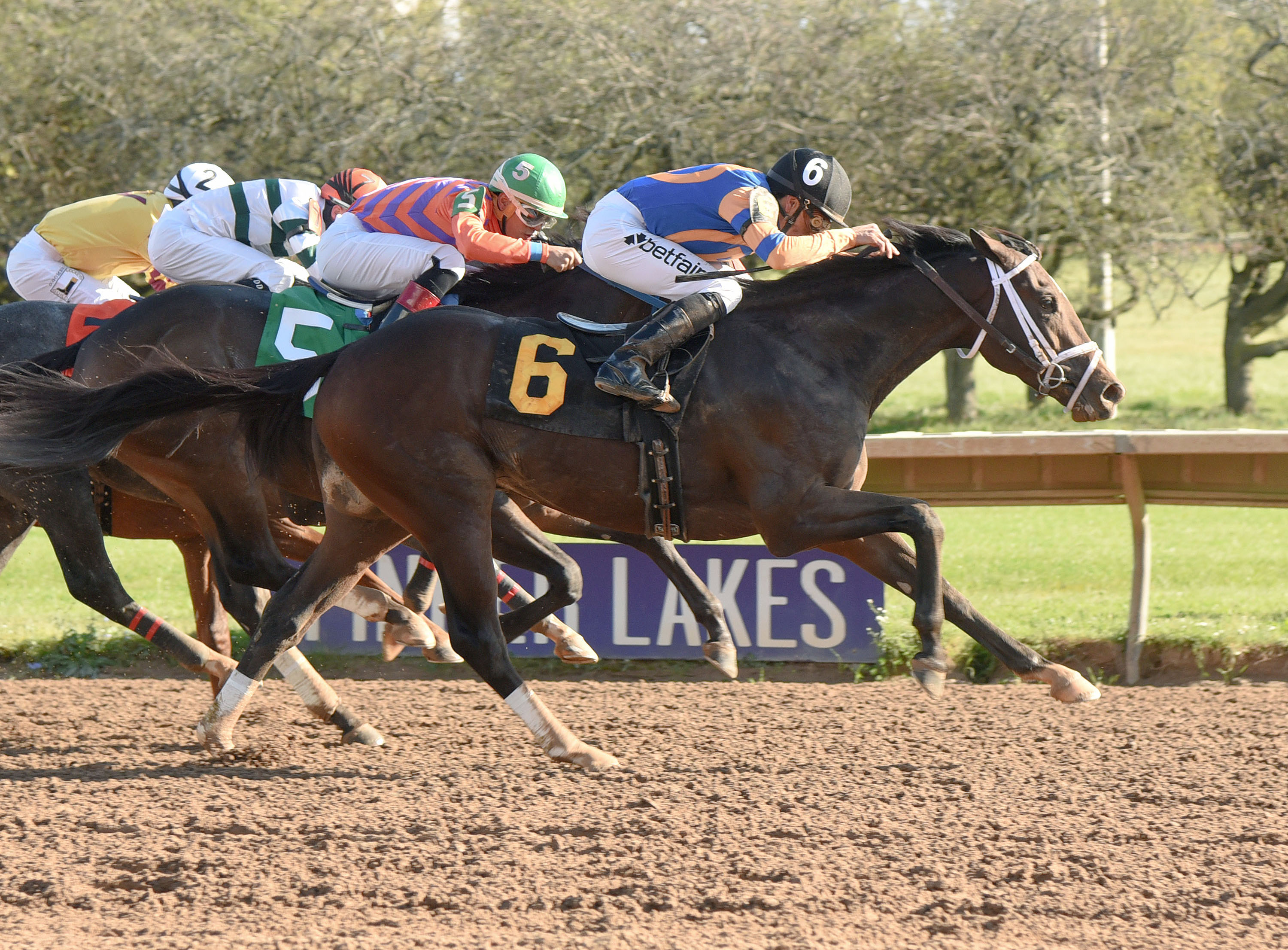 Analyze the Odds wins the New York Breeders' Futurity