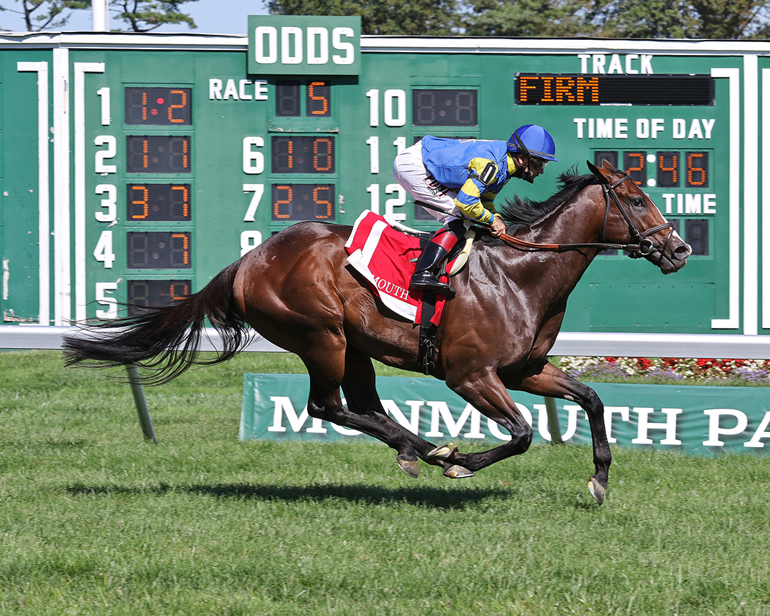 Analyze It wins the 2020 Red Bank Stakes at Monmouth Park