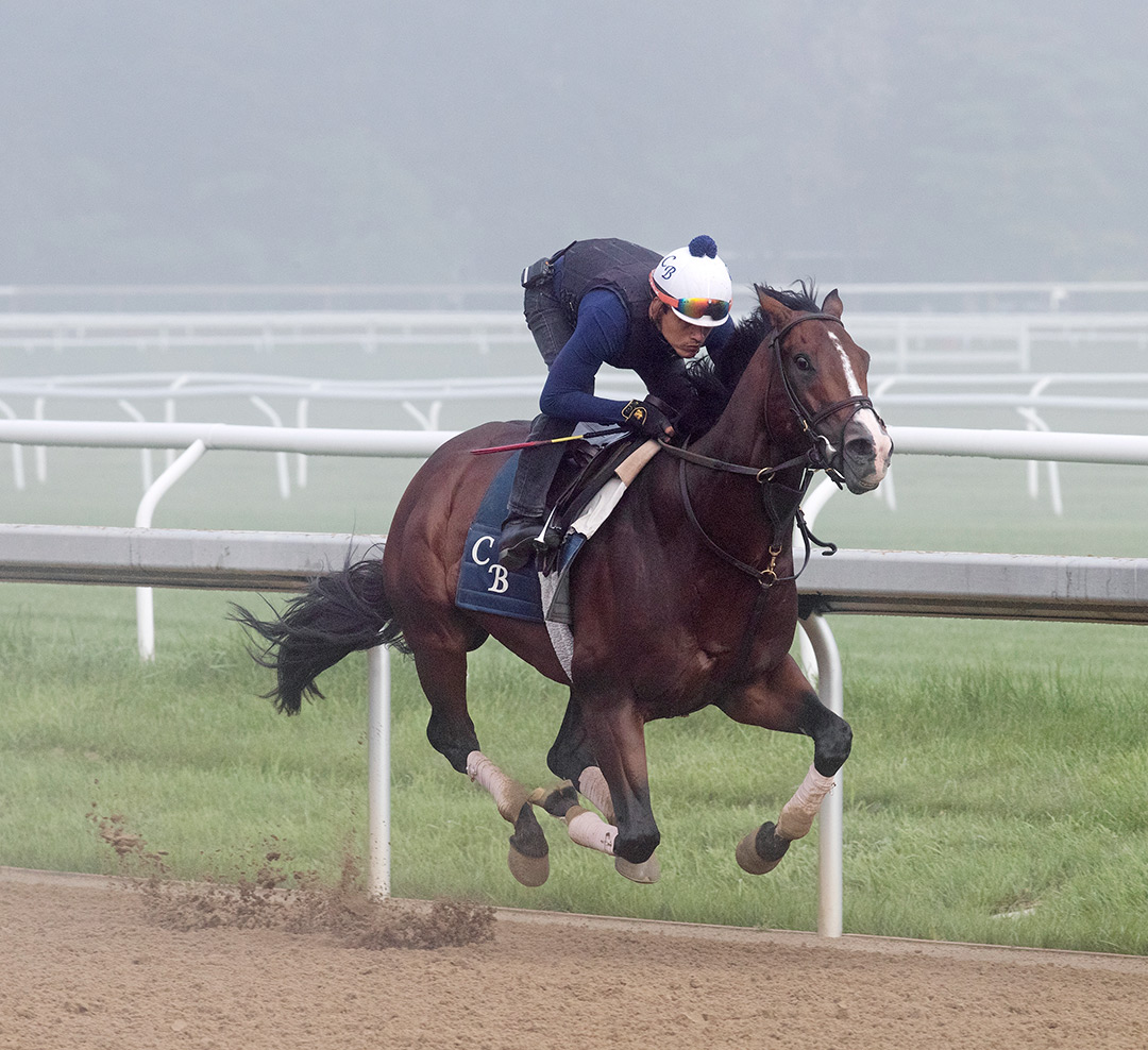 Analyze It trains at Saratoga Race Course on July 24