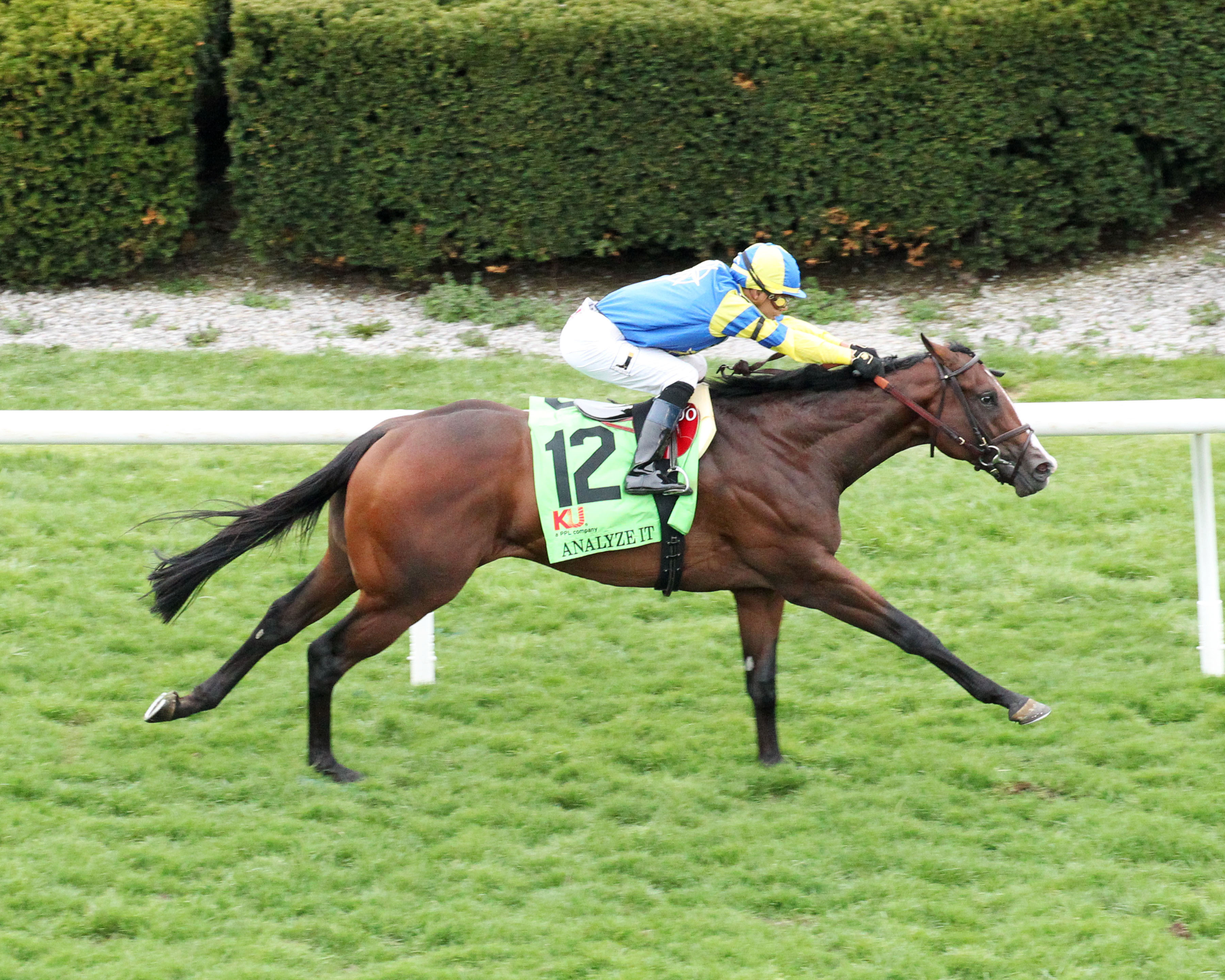 Analyze It wins the 2018 Transylvania