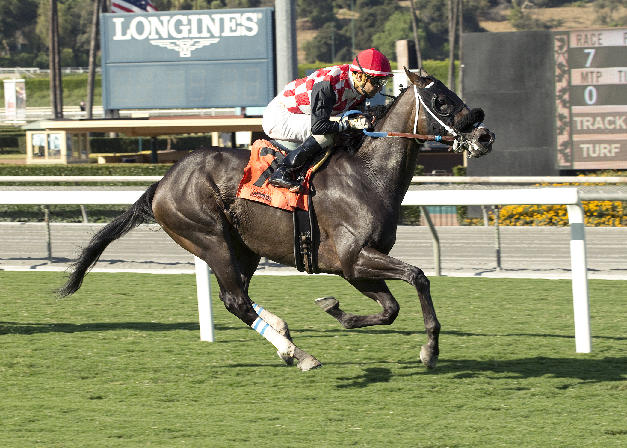 Anatolian Heat wins an Oct. 5 allowance race