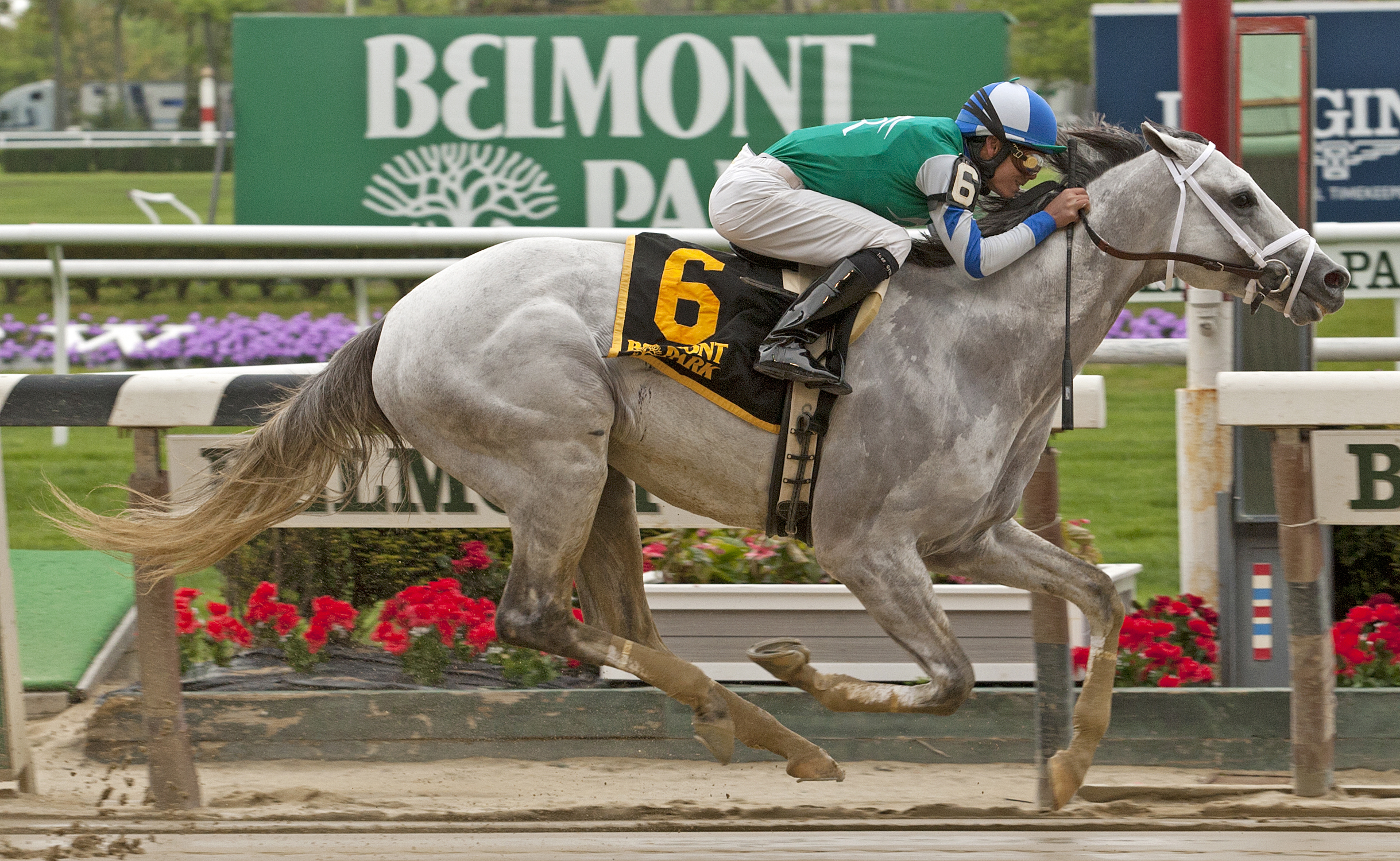 Anchor Down wins the Westchester Stakes