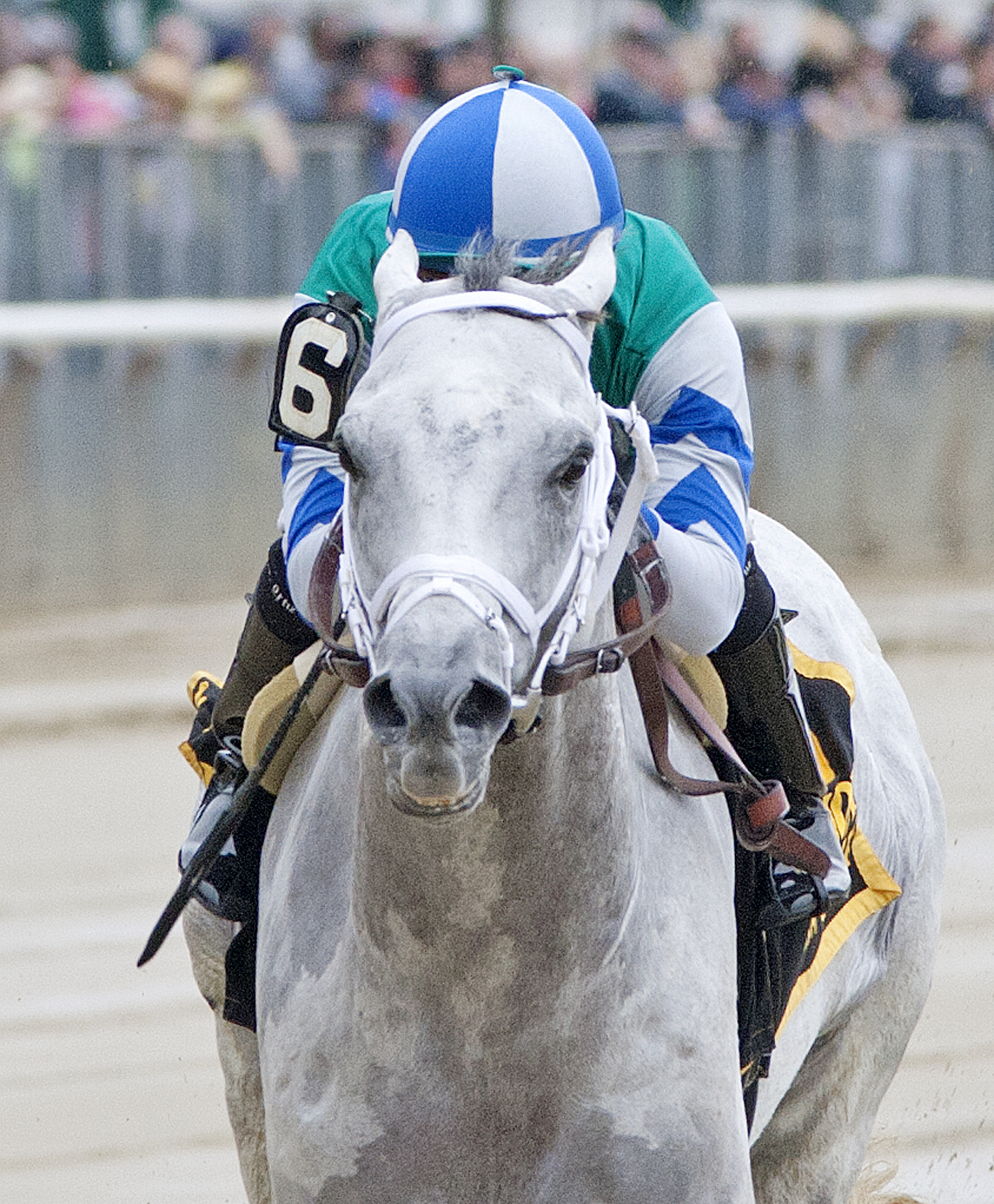 Anchor Down wins the Westchester Stakes