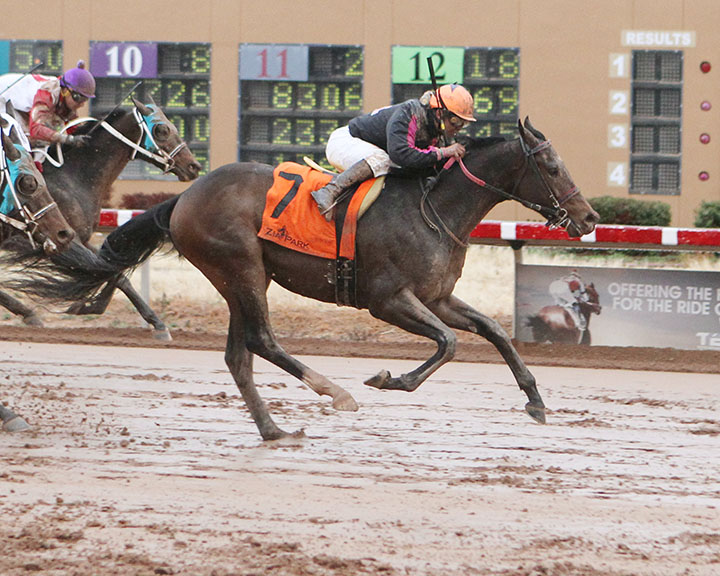 Ancient Land wins the Steve Prather Stakes at Zia Park