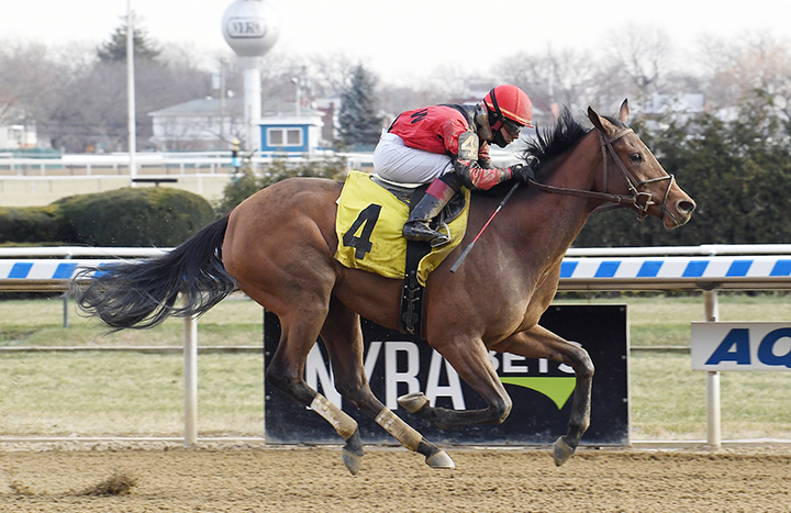 Ancient Brown wins a Dec. 21 maiden race at Aqueduct Racetrack