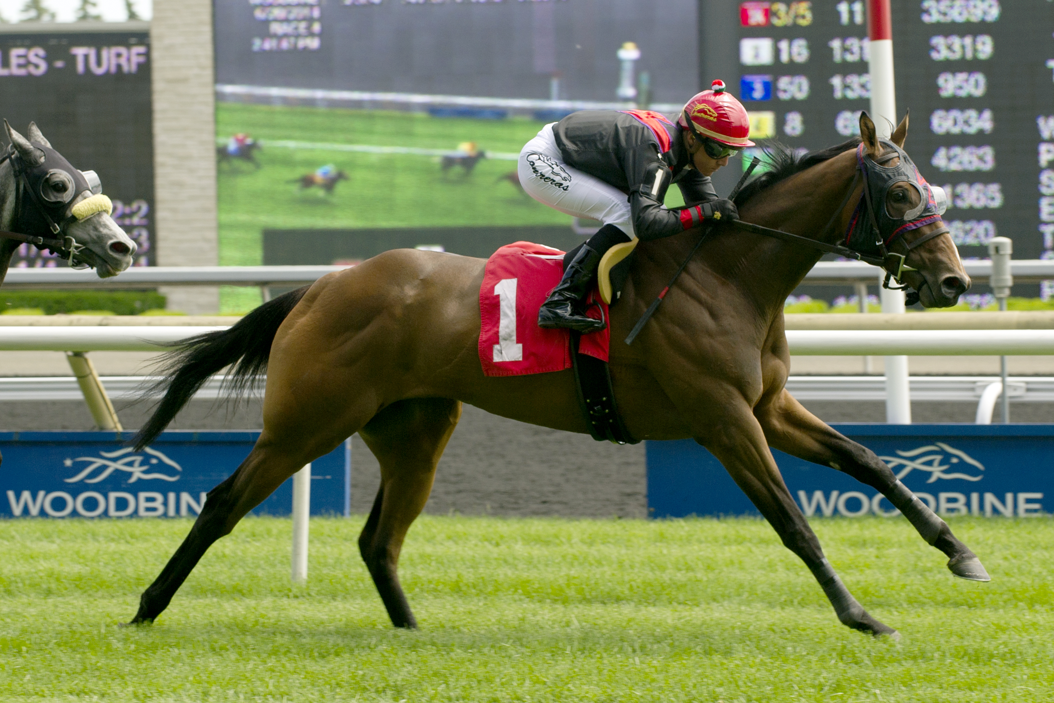 And I Did wins a maiden race