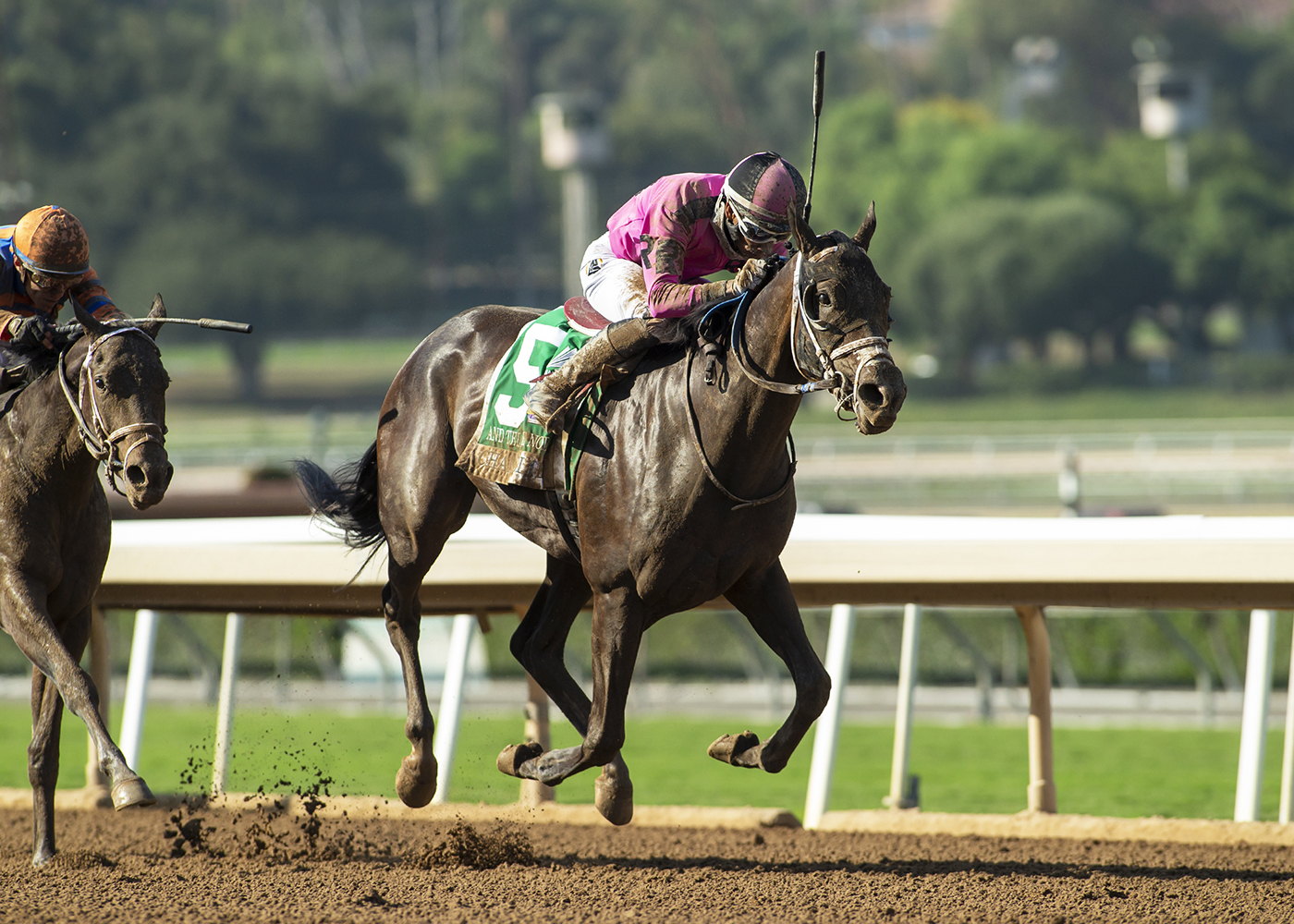 And Tell Me Nolies wins the Chandelier at Santa Anita Oct 8 2022