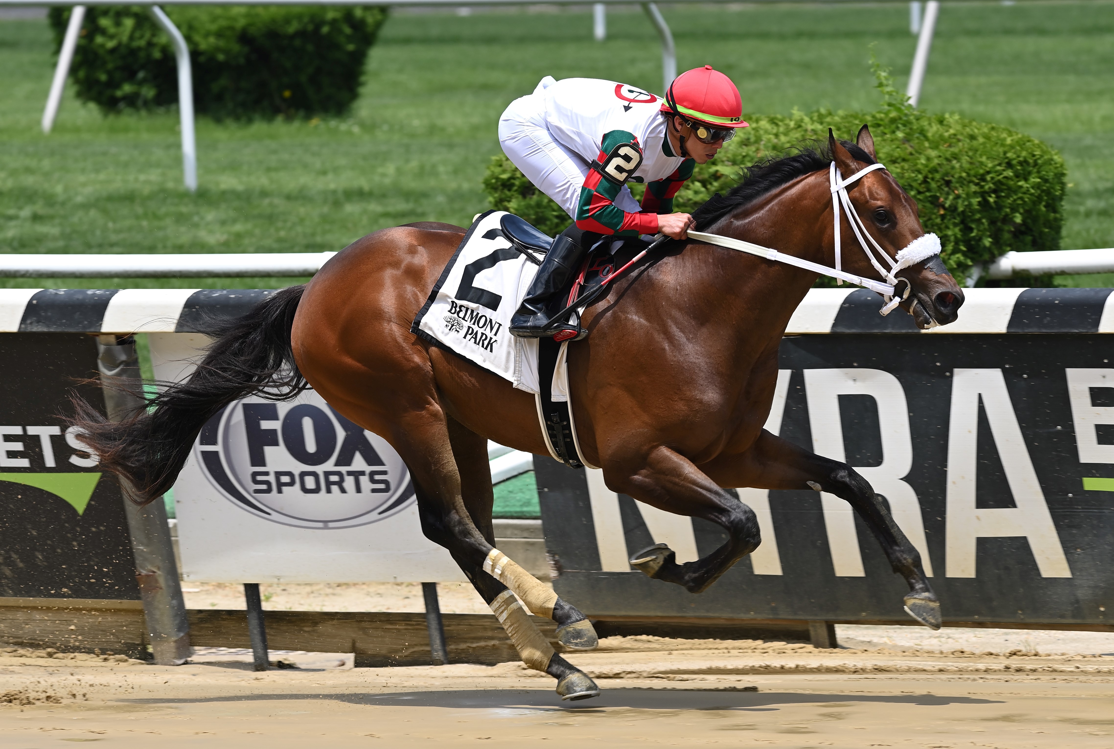 Andiamo a Firenze wins debut at Belmont on June 3 2022