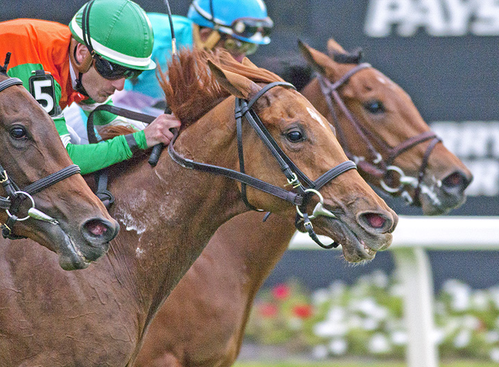 Andina Del Sur wins the 2018 Florida Oaks