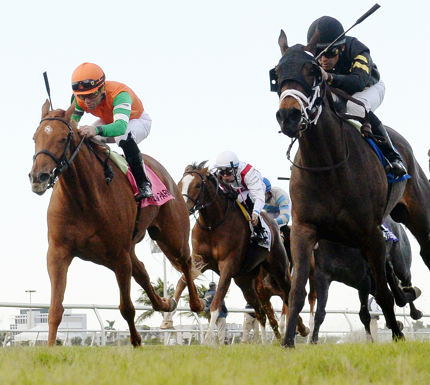 Andina Del Sur finishes third in the Ginger Brew Stakes