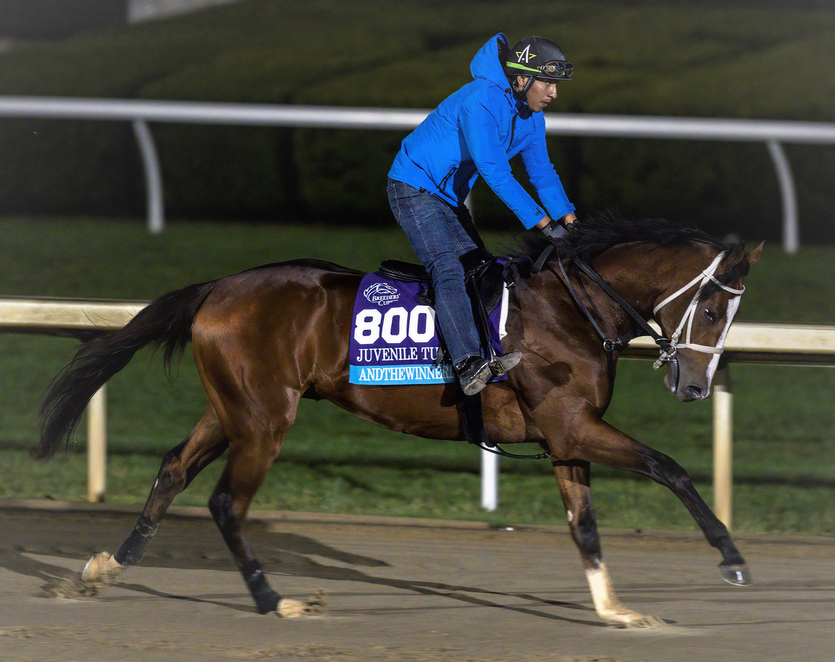 Andthewinneris trains at Keeneland Oct 31 2022