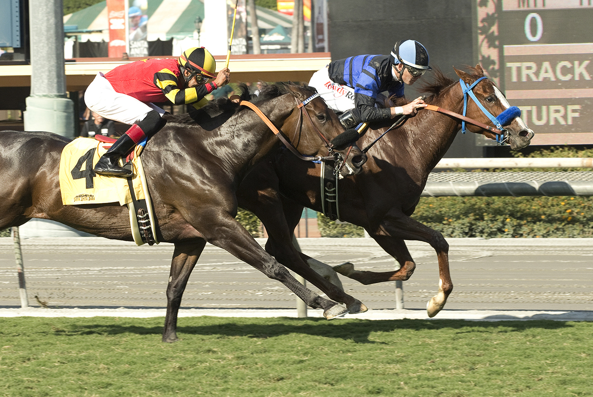 Angel Allie wins an Oct. 28 allowance at Santa Anita