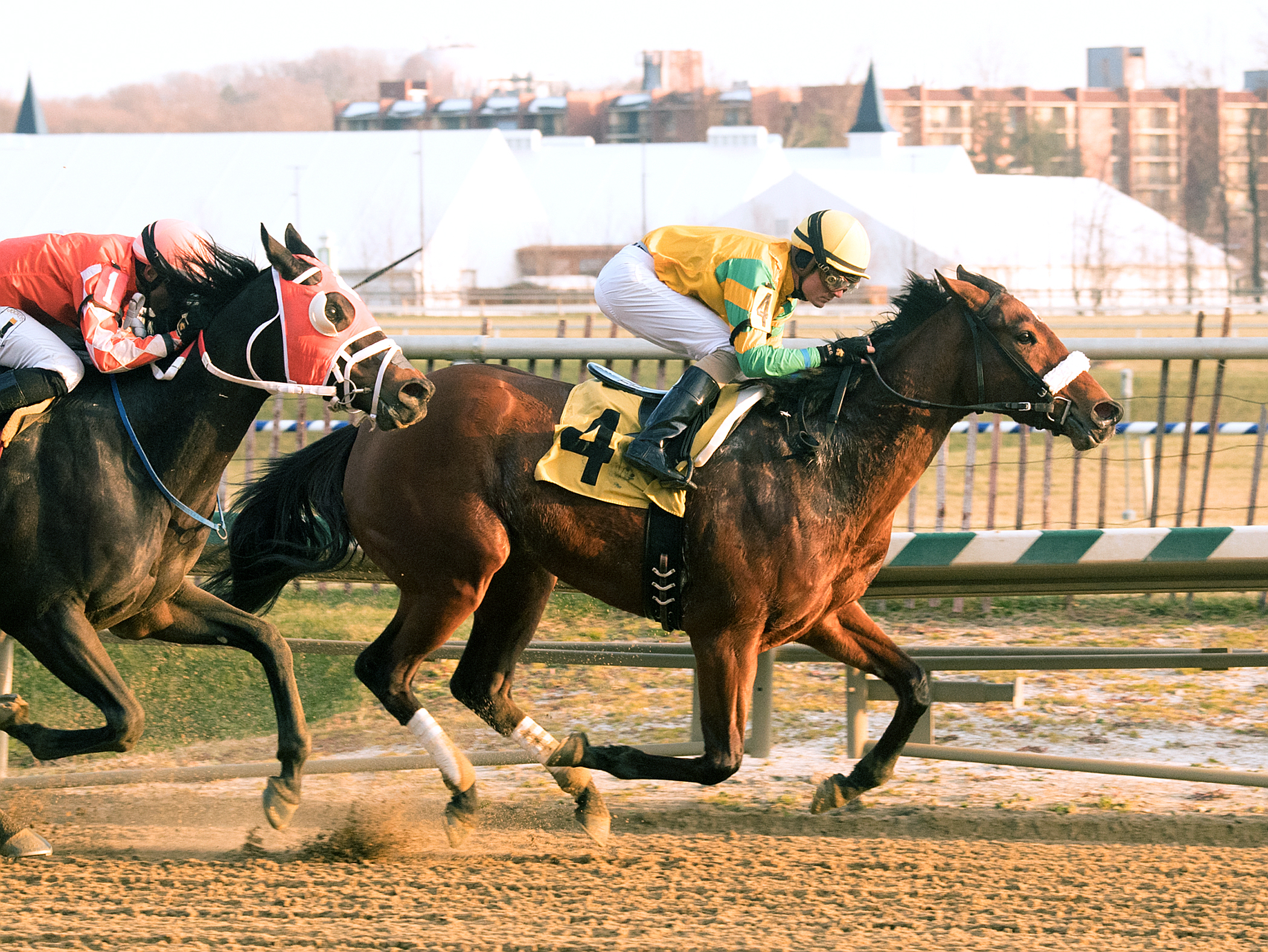 Angel At War wins a Dec. 11 allowance race