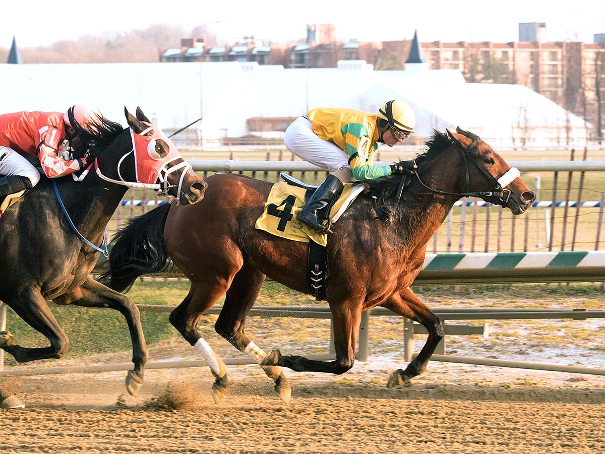 Angel At War wins a Dec. 11 allowance race