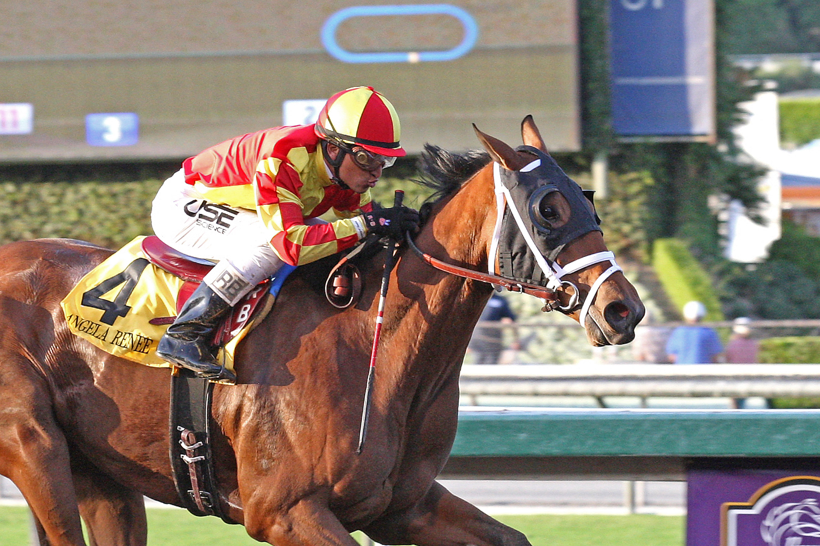 Angela Renee wins 2014 Chandelier