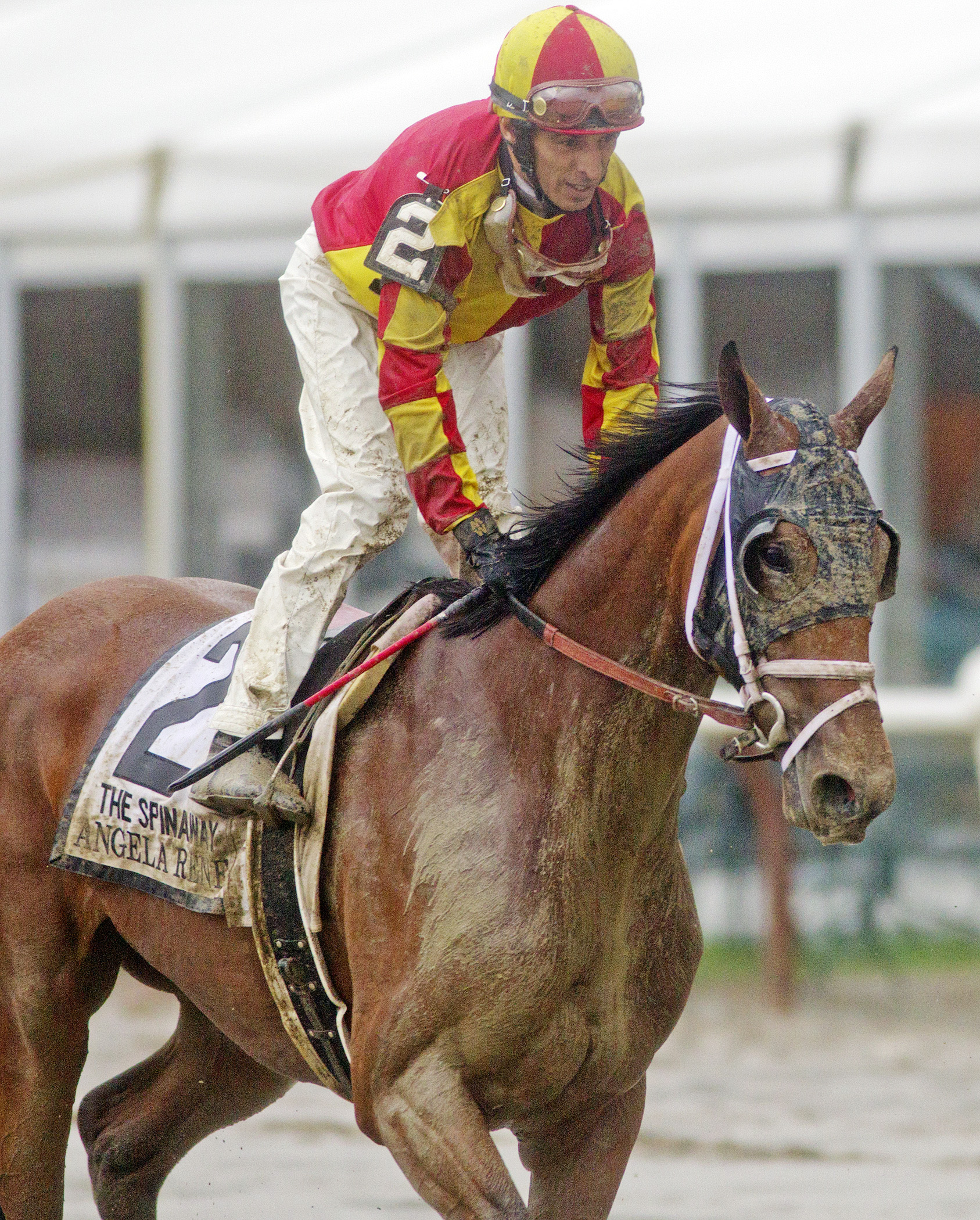 Angela Renee finishes third in the Spinaway Stakes