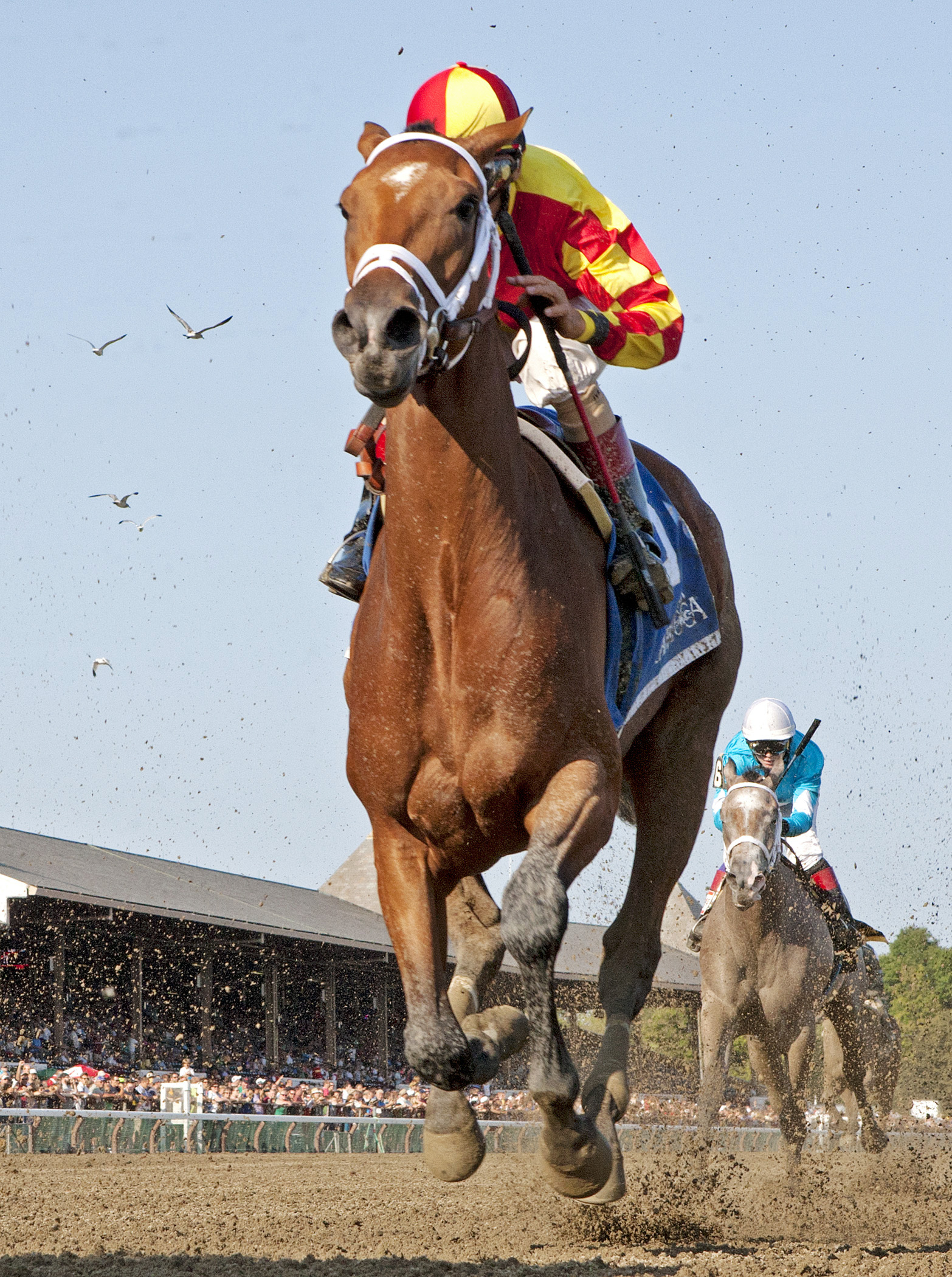 Angela Renee finishes second in the Adirondack Stakes