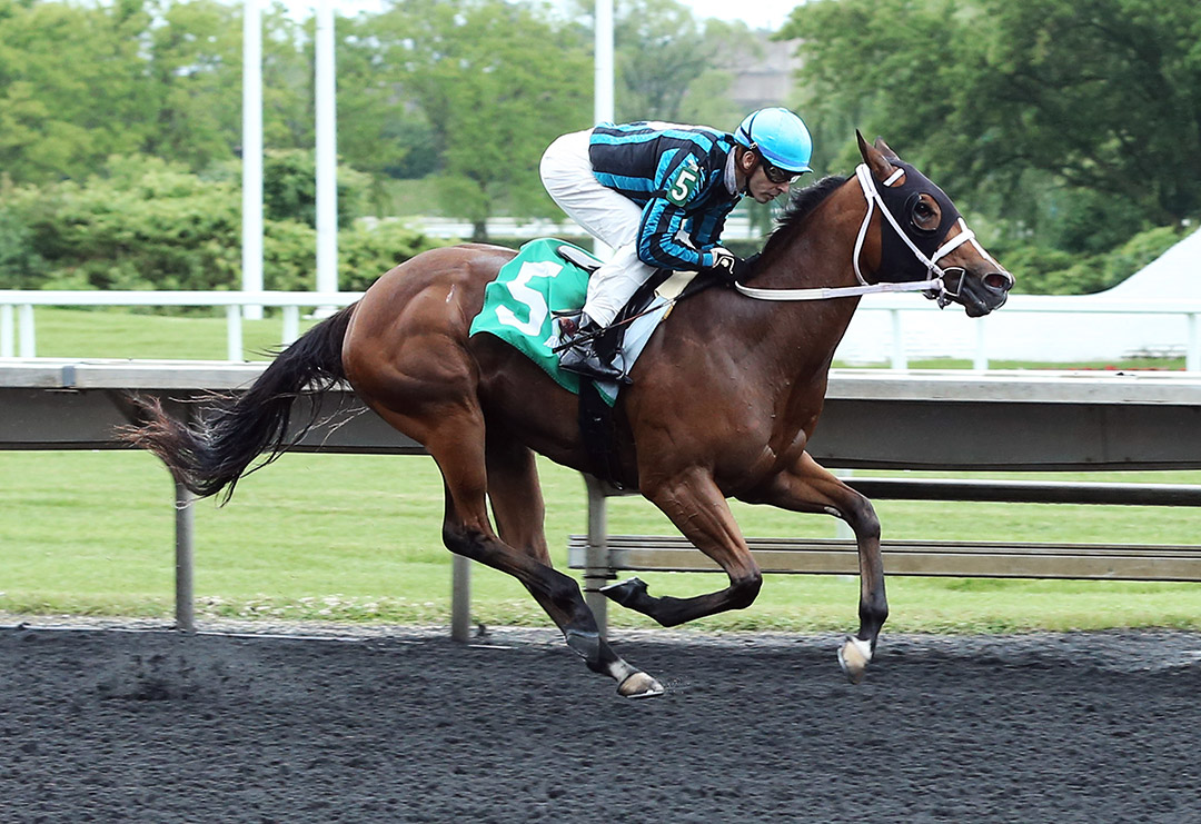 Angelcents wins a June 2019 maiden race at Arlington
