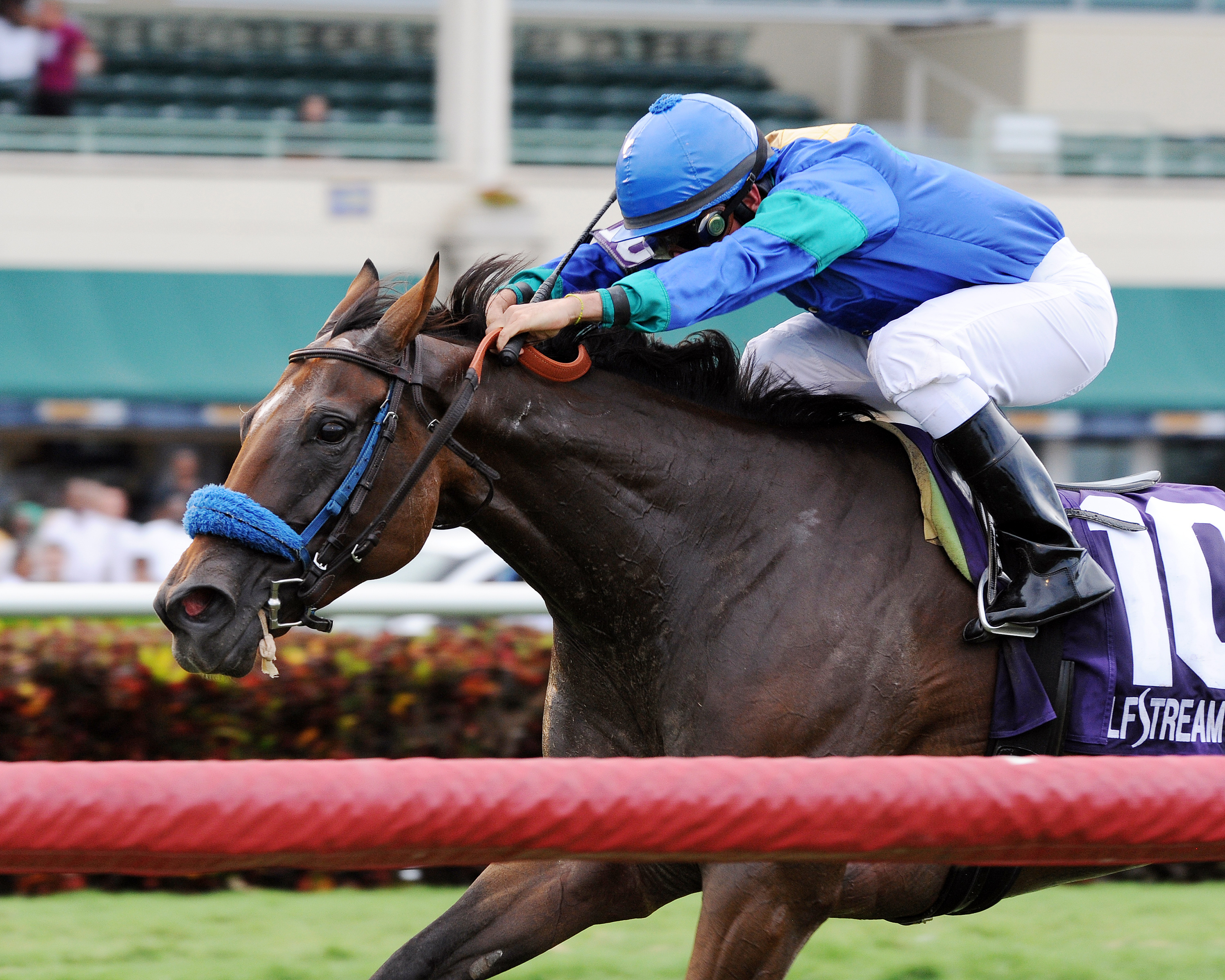 Angelica Zapata wins the Soaring Softly Stakes