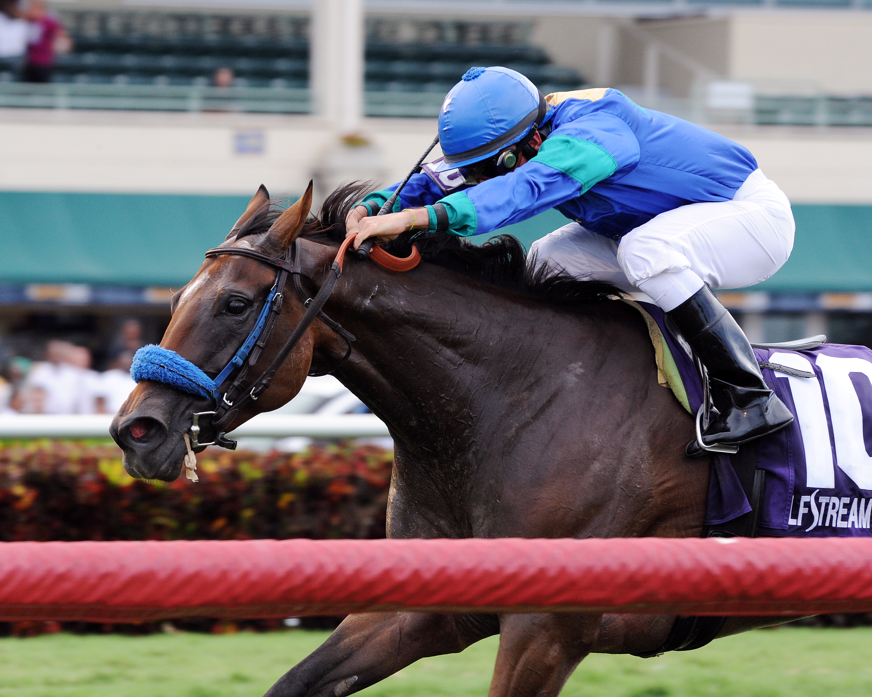 Angelica Zapata wins the Soaring Softly Stakes